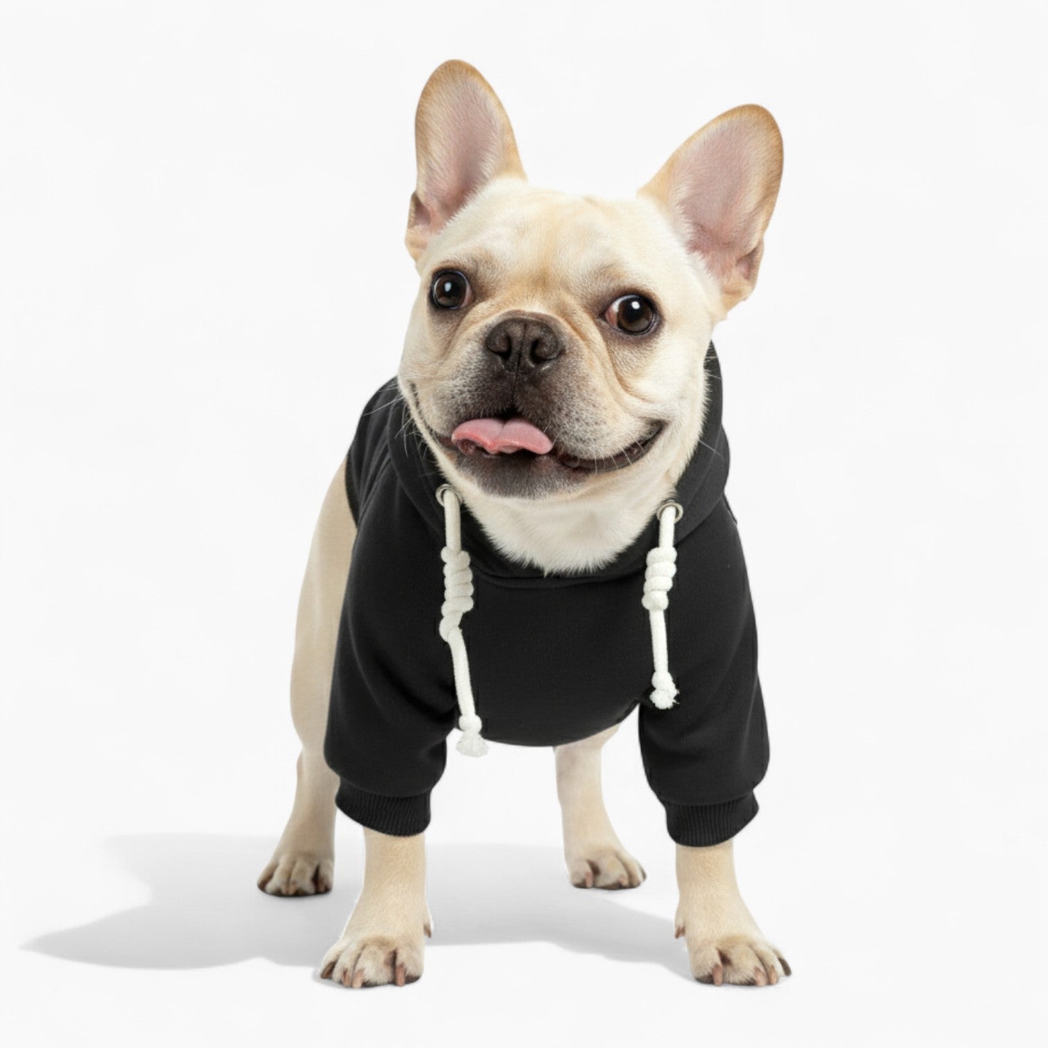 Zane - French Bulldog Dog Hoodie