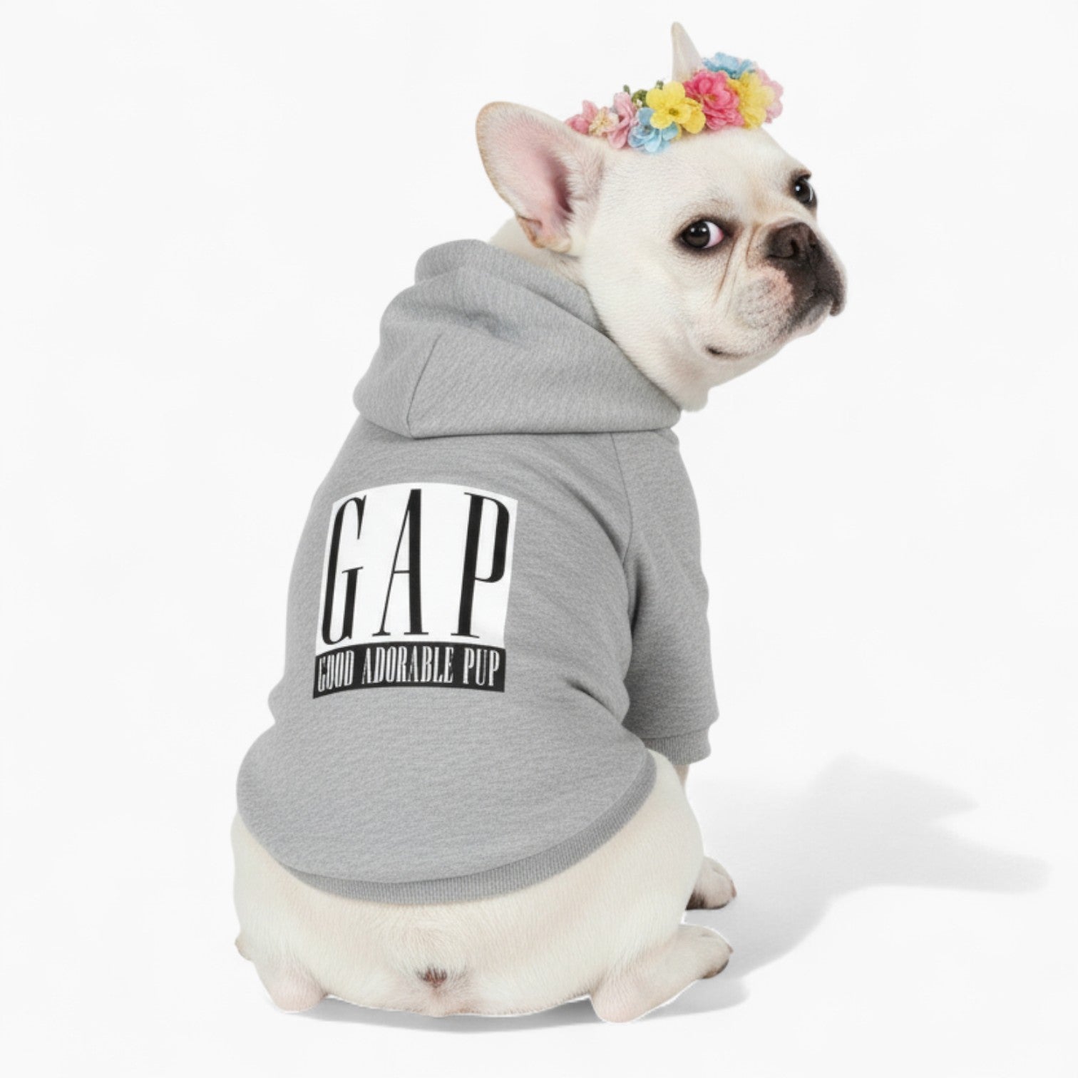 Elsa- French Bulldog Dog Hoodie
