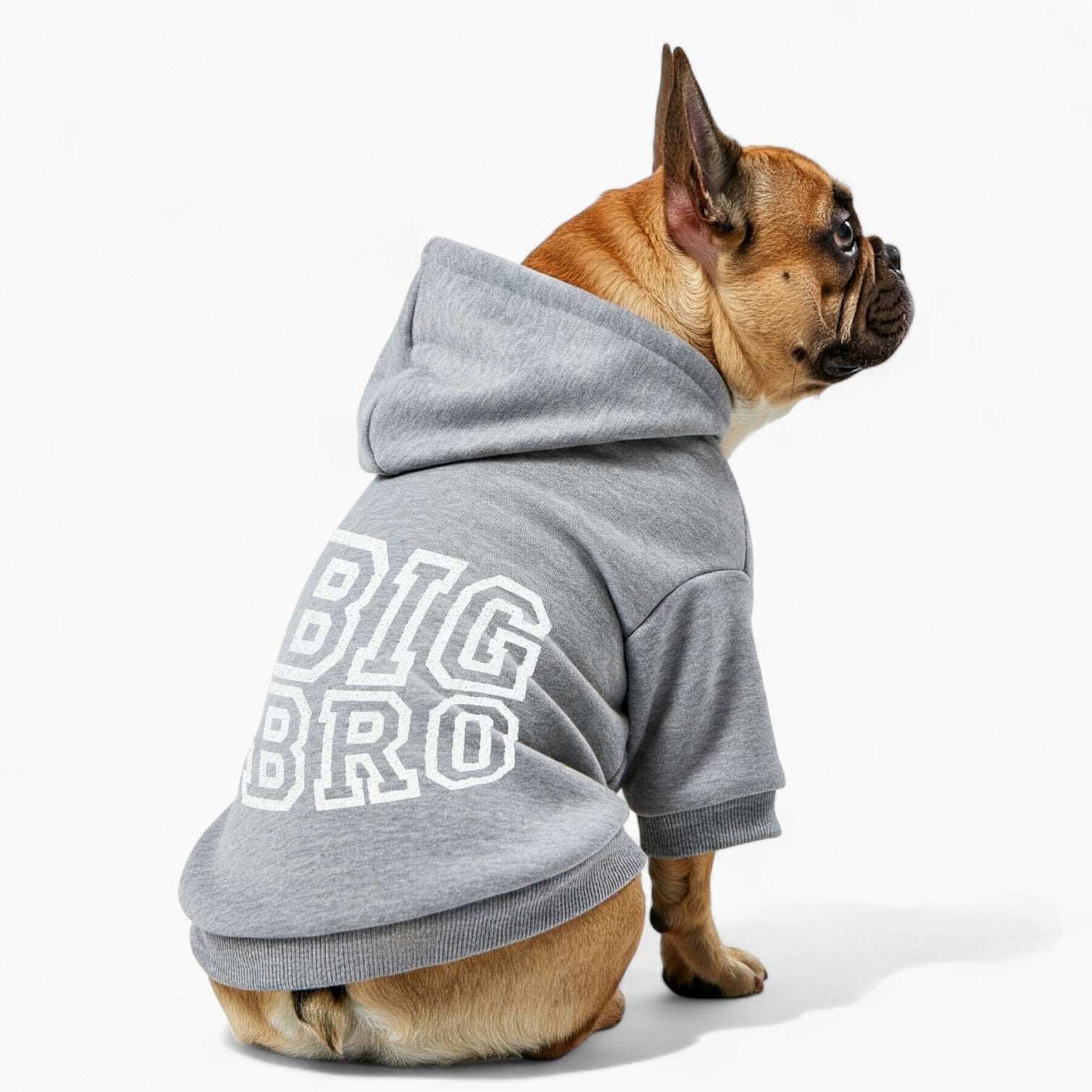 Layla - French Bulldog Dog Hoodie