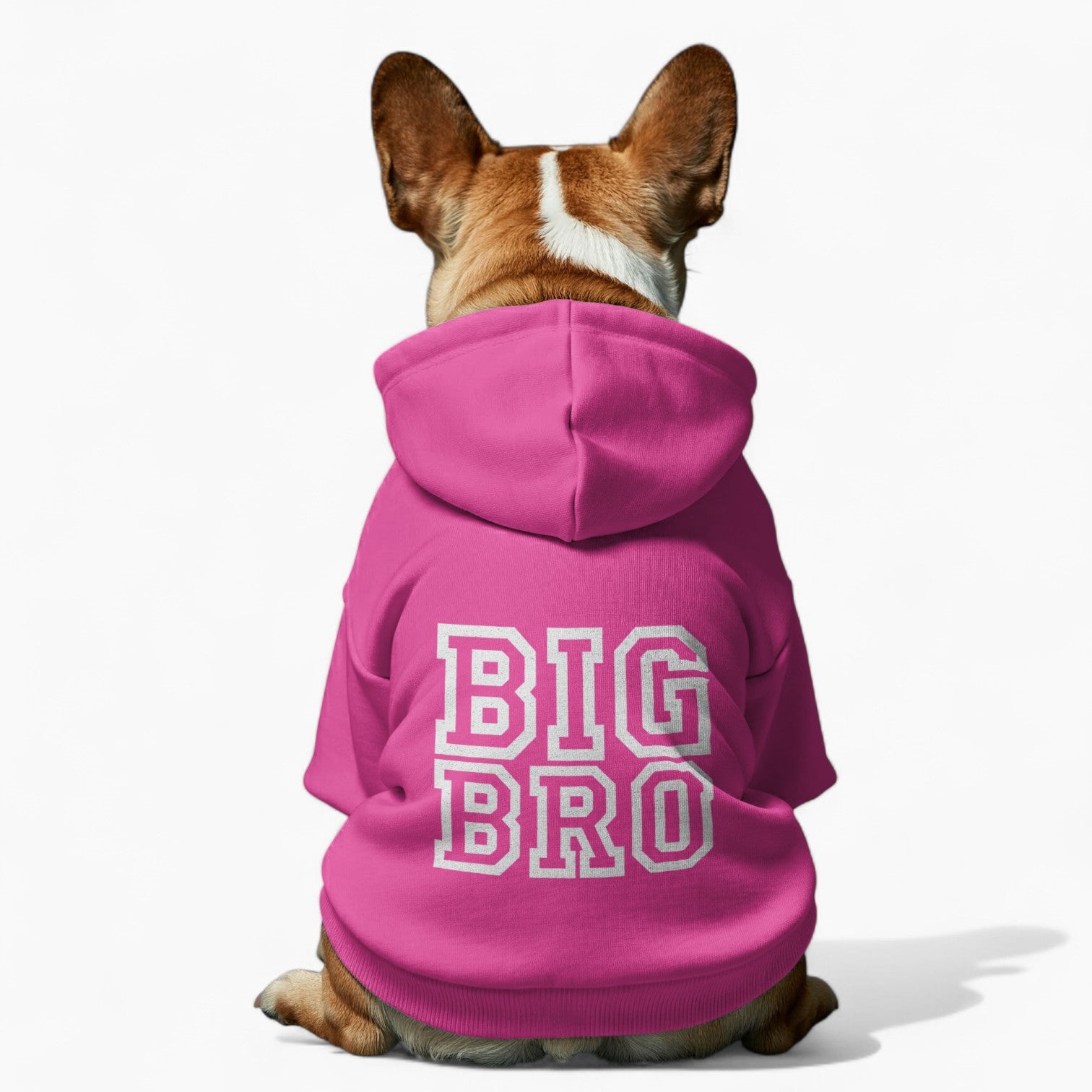Layla - French Bulldog Dog Hoodie