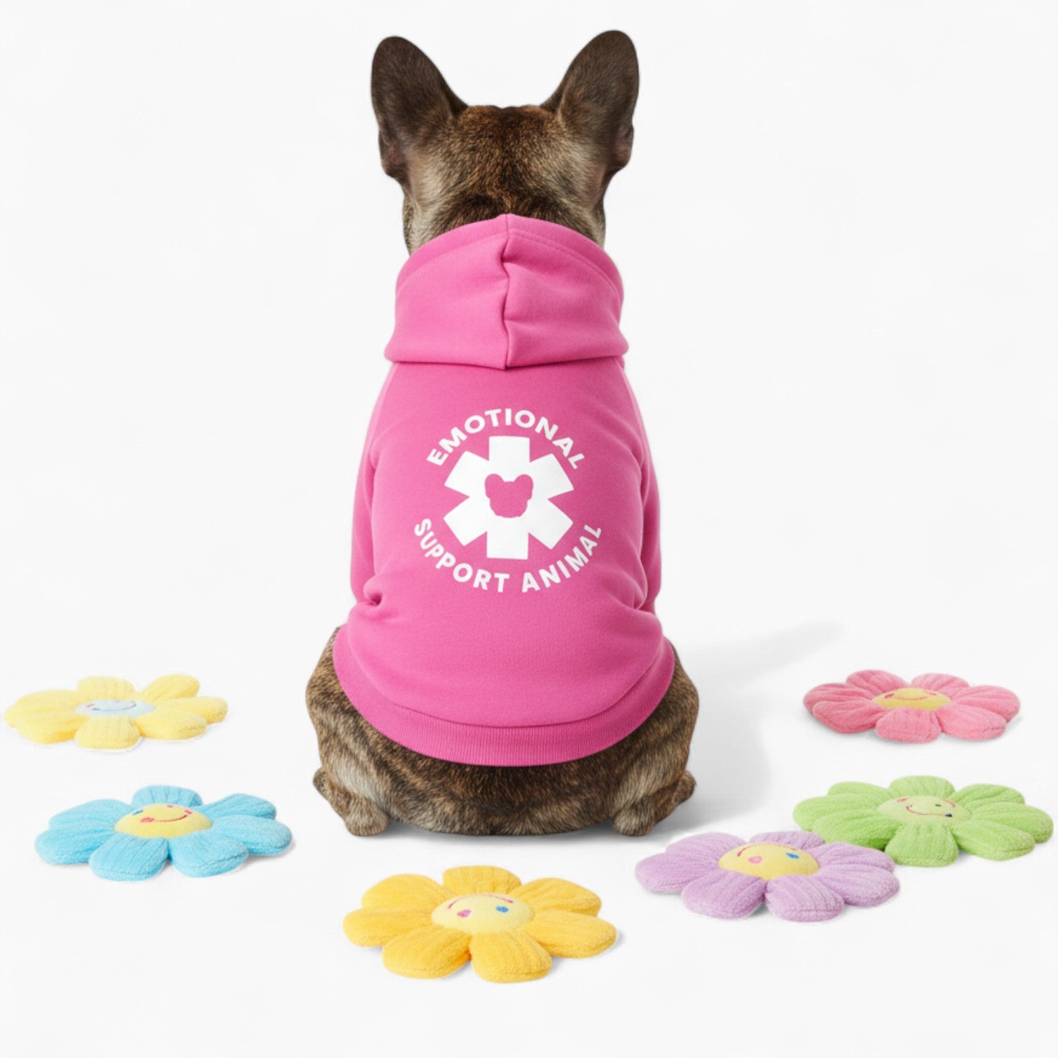 Teddy - French Bulldog Dog Hoodie