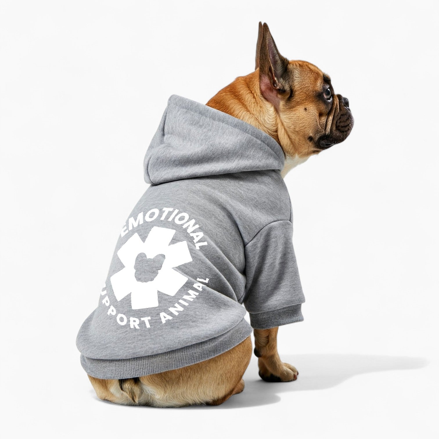 Teddy - French Bulldog Dog Hoodie