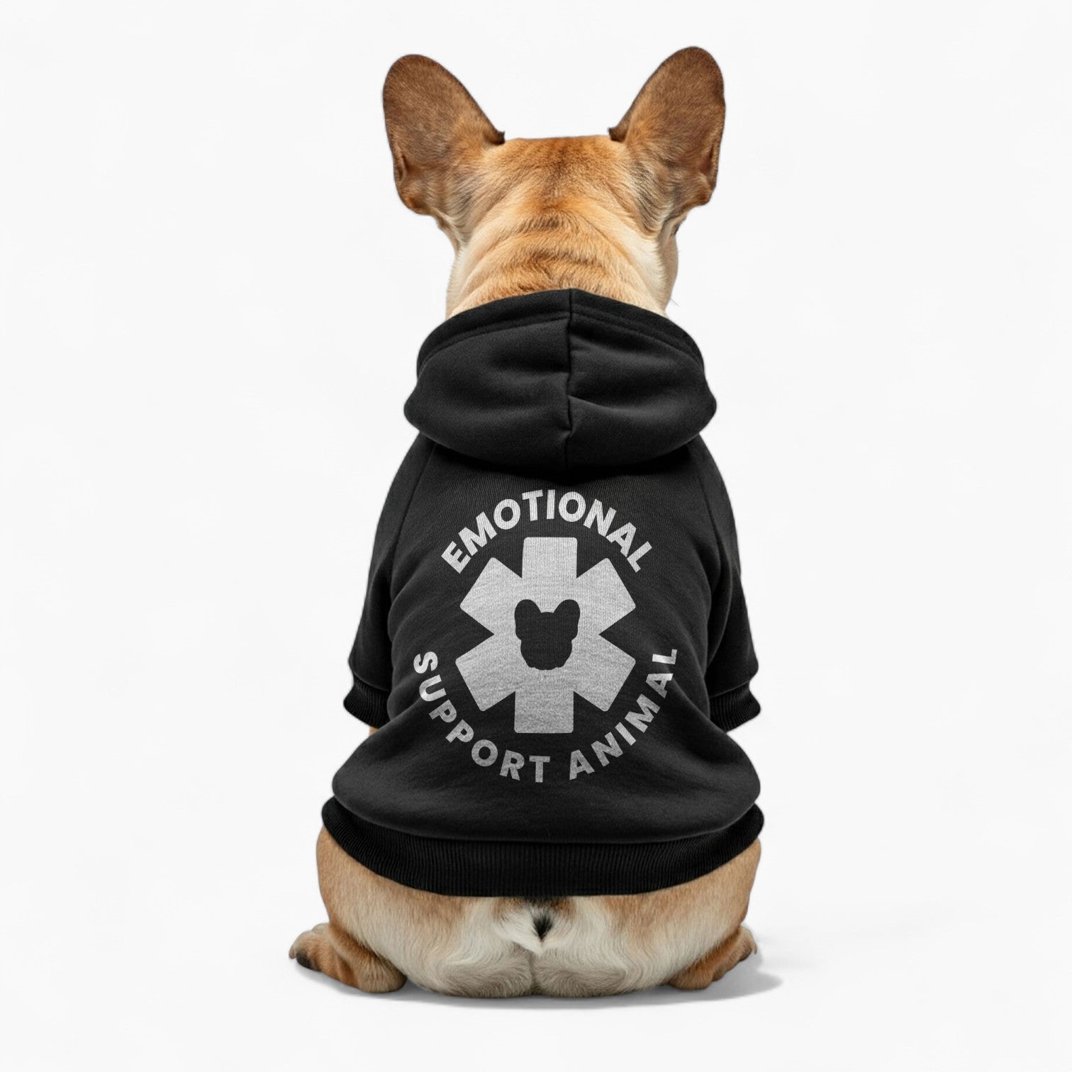 Teddy - French Bulldog Dog Hoodie