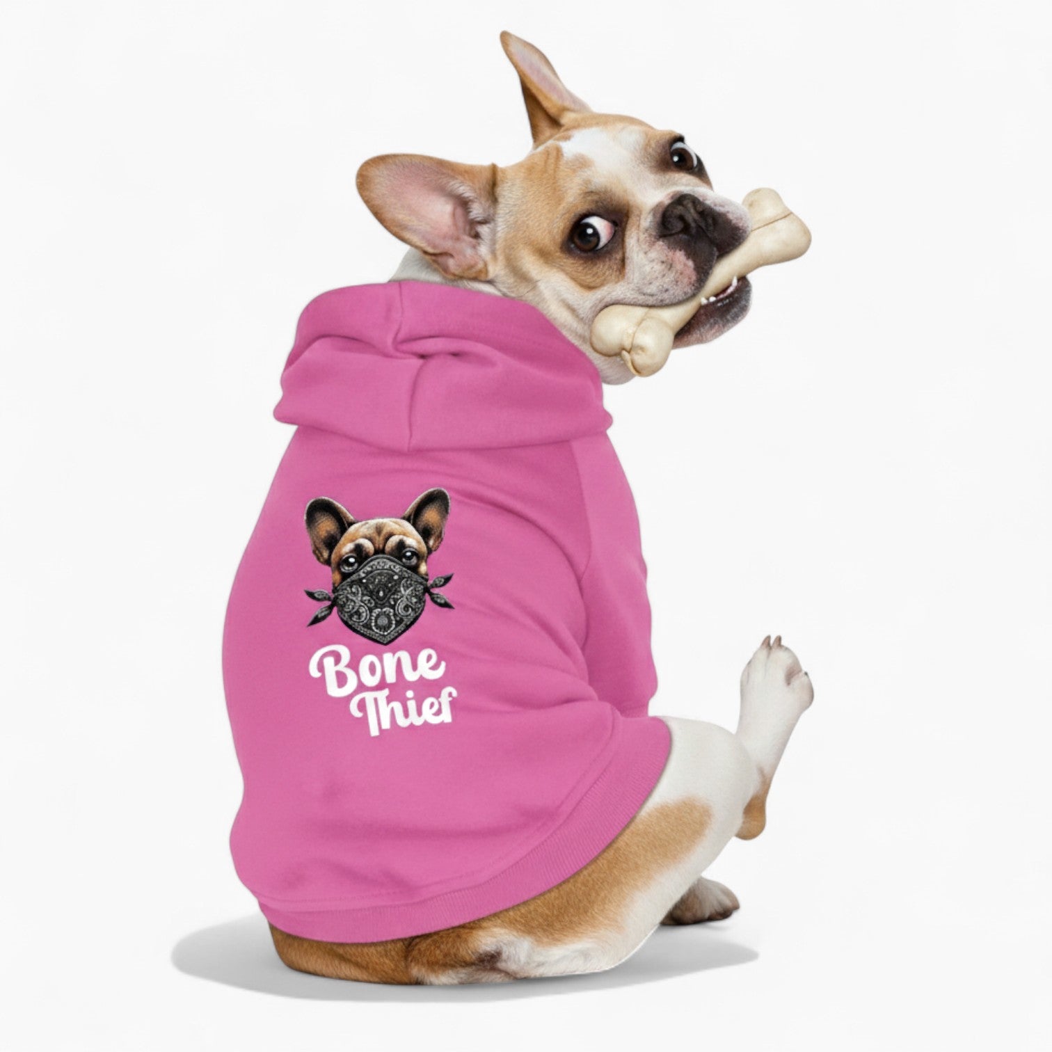 Peanut - French Bulldog Dog Hoodie
