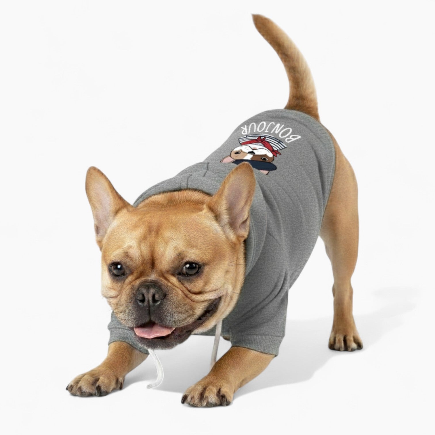 Ziggy - French Bulldog Dog Hoodie