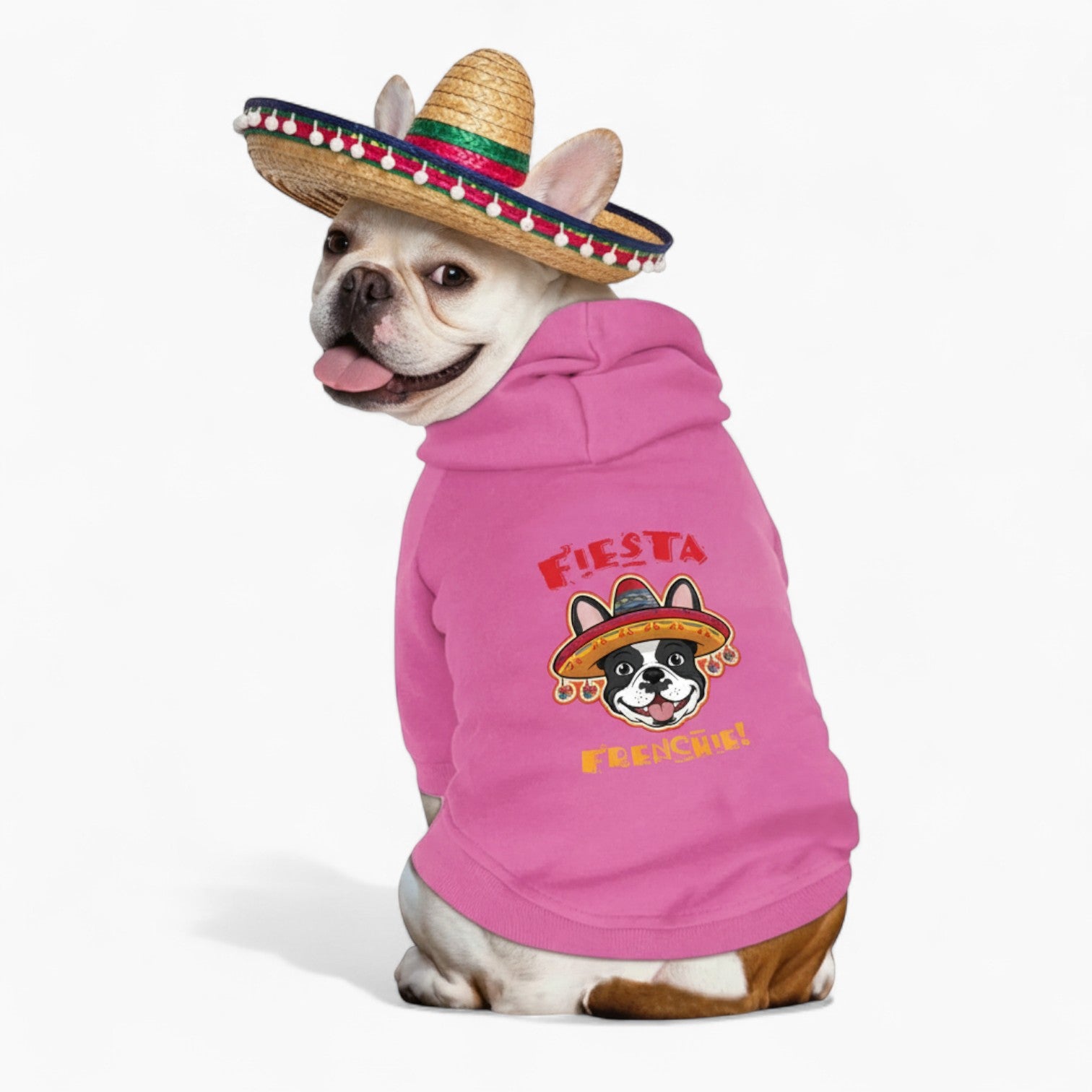 Diego - French Bulldog Dog Hoodie