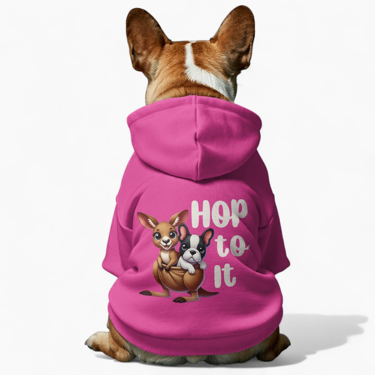 Coco - French Bulldog Dog Hoodie