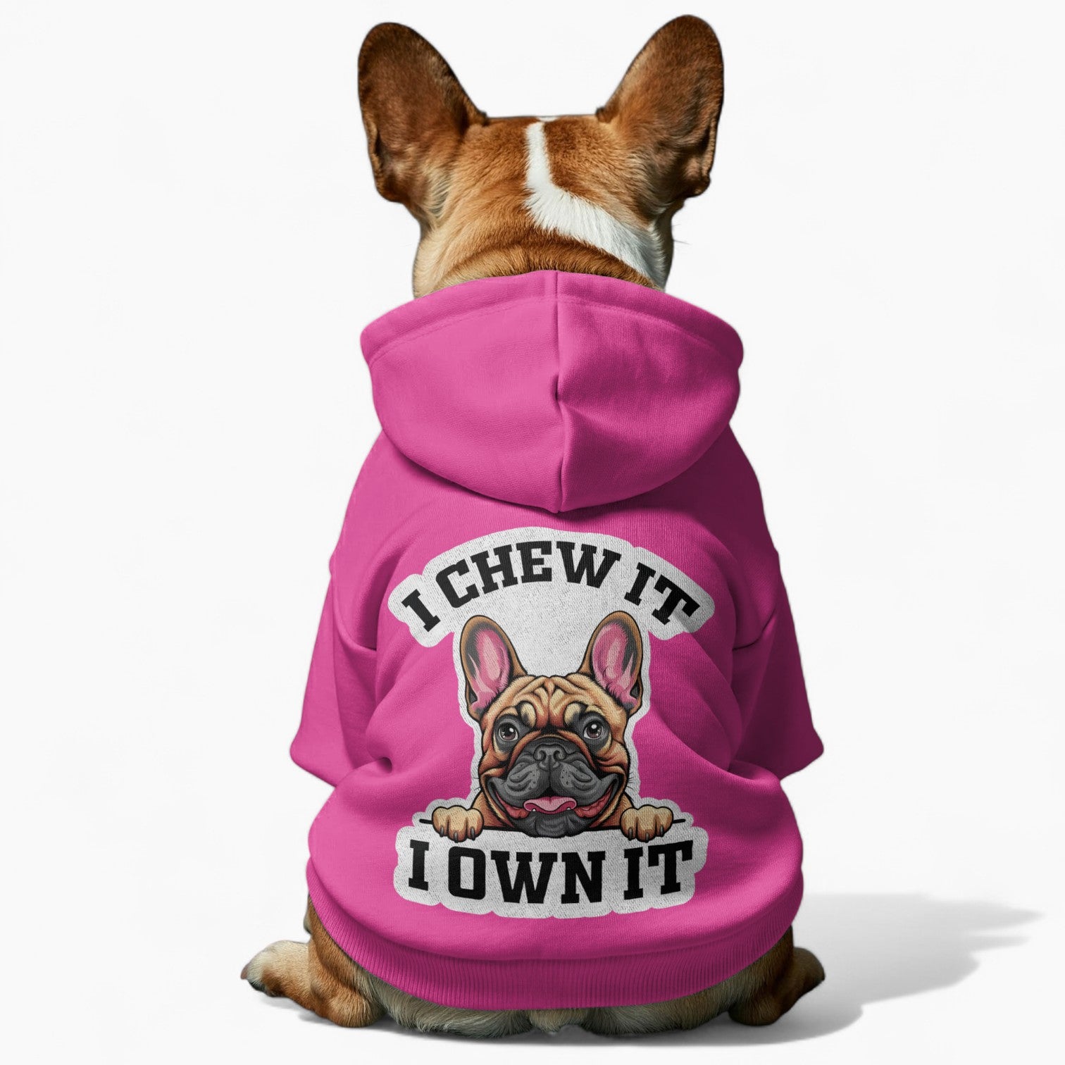 Zara - French Bulldog Dog Hoodie