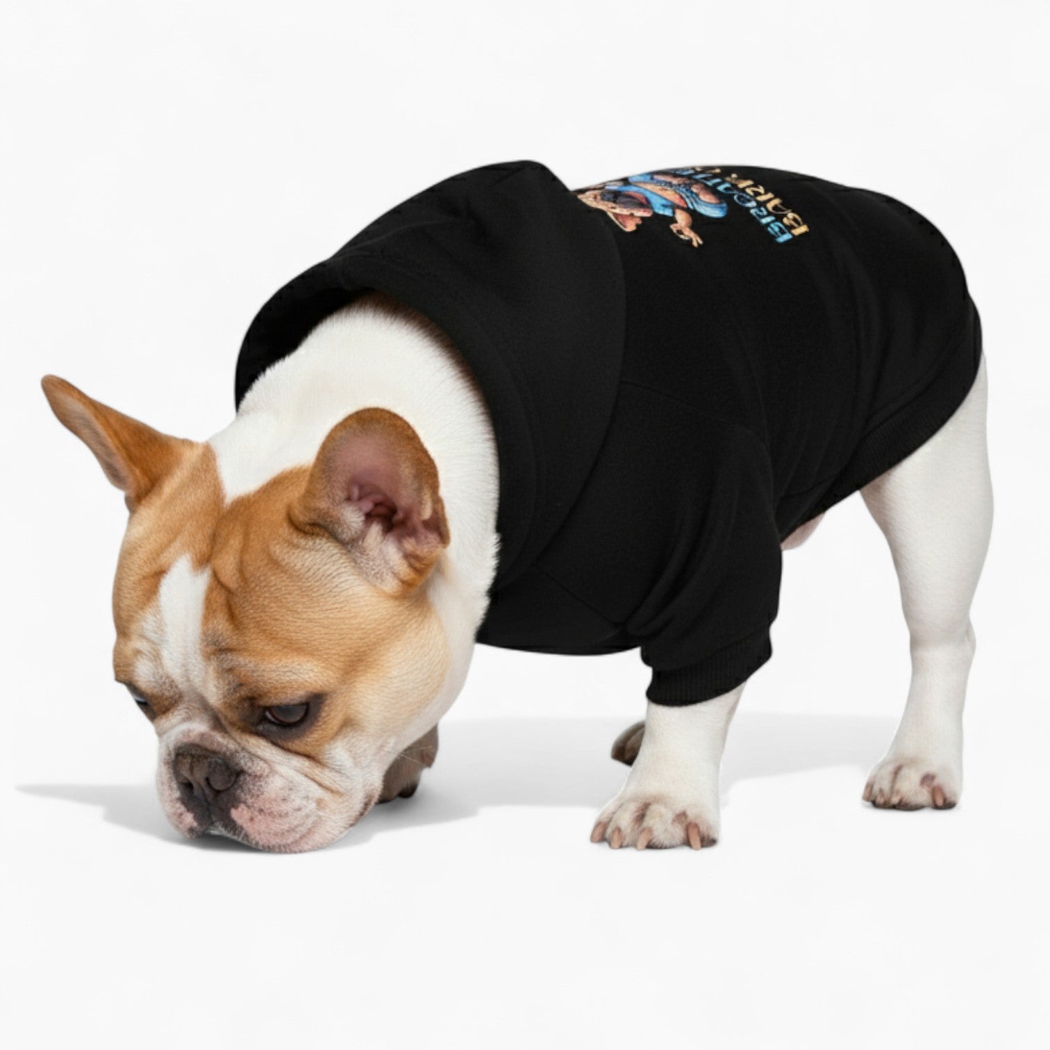 Teddy - French Bulldog Dog Hoodie