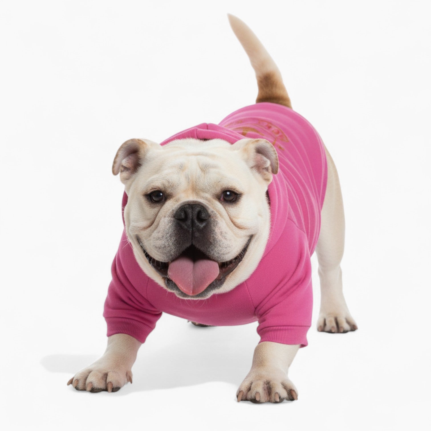 Basil - French Bulldog Dog Hoodie