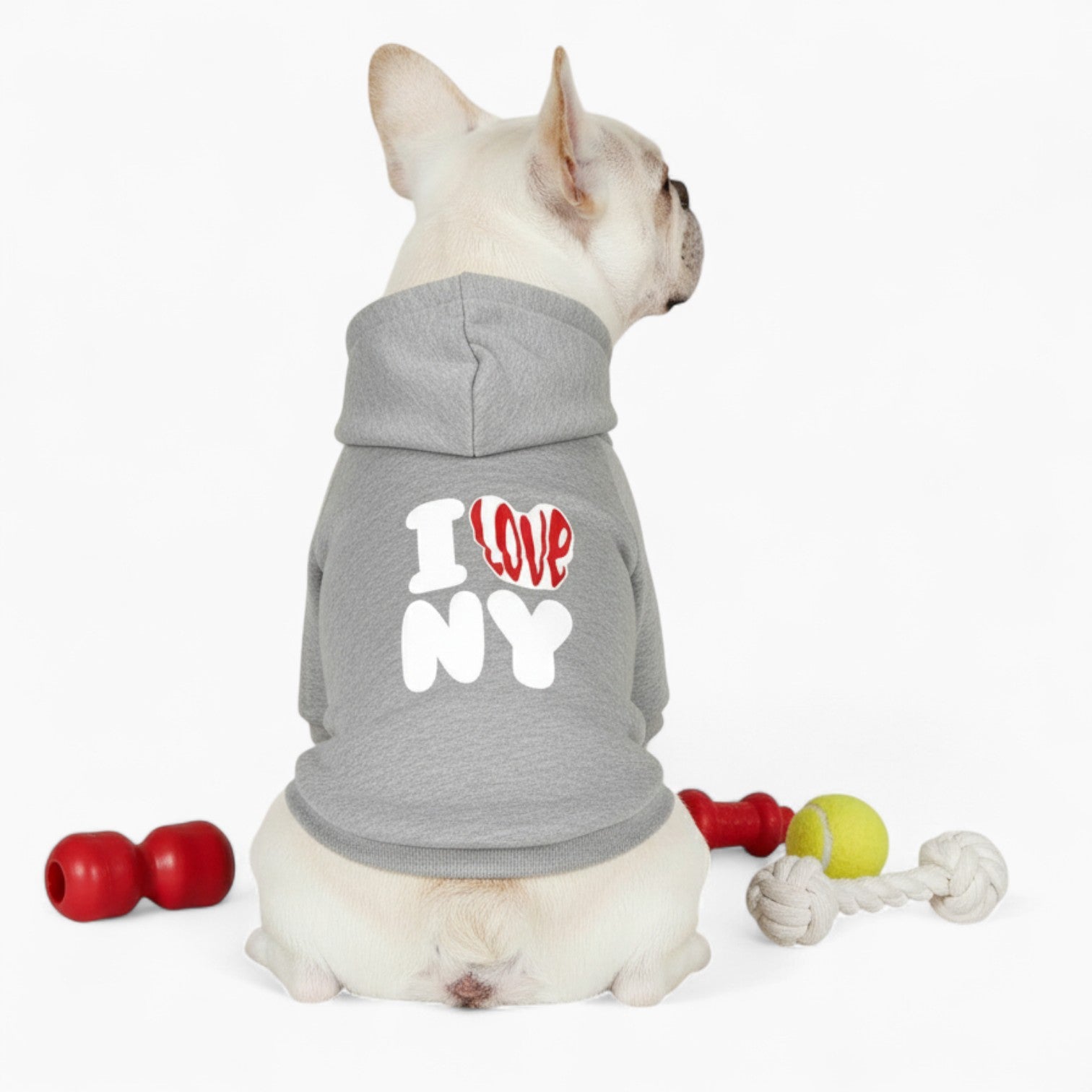 Nova - French Bulldog Dog Hoodie