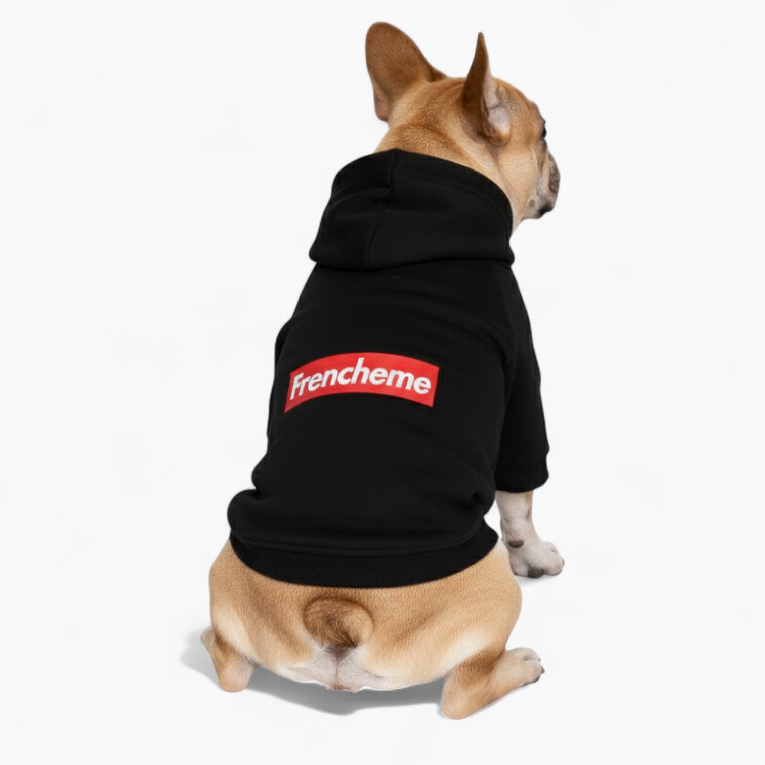 Rossi - French Bulldog Dog Hoodie