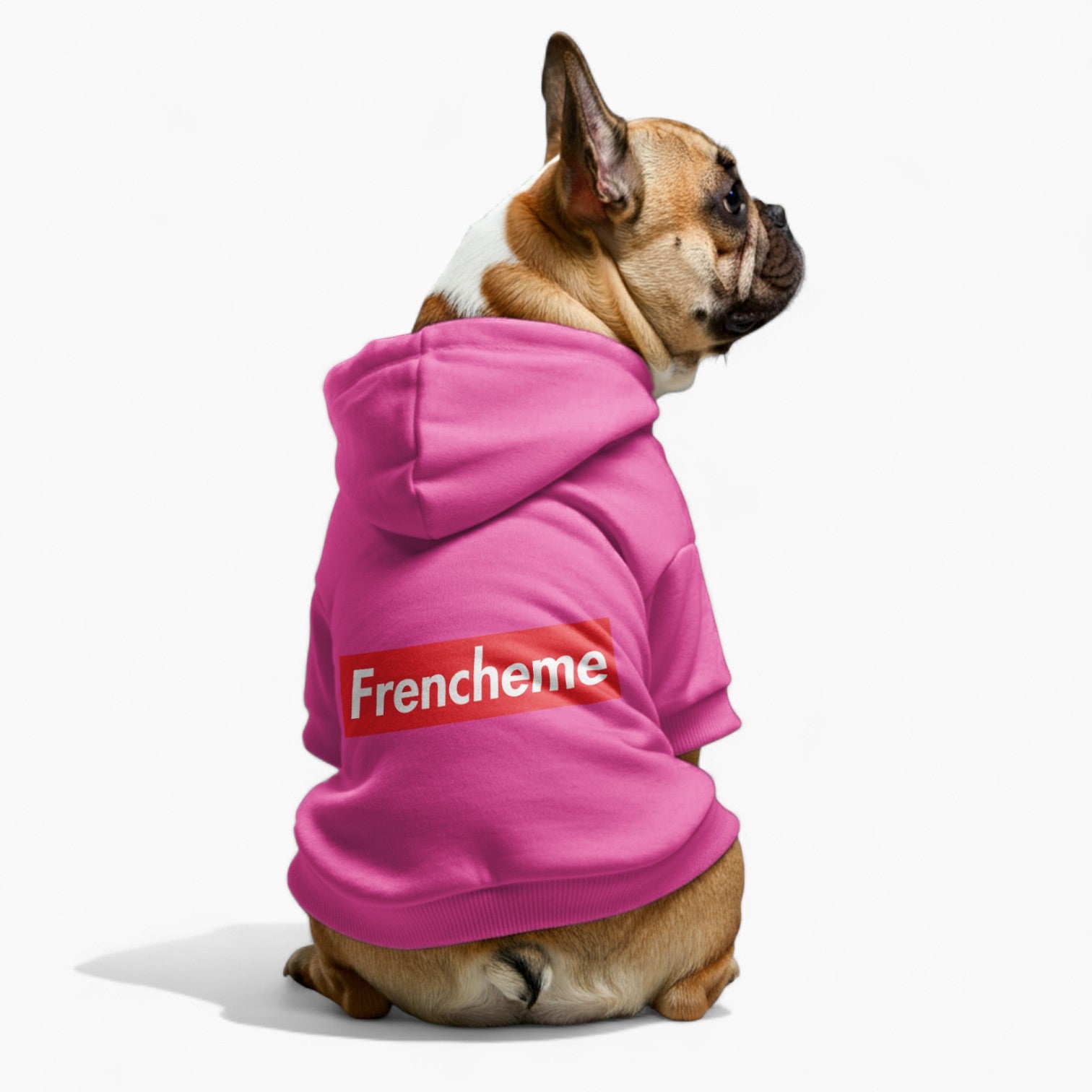 Rossi - French Bulldog Dog Hoodie