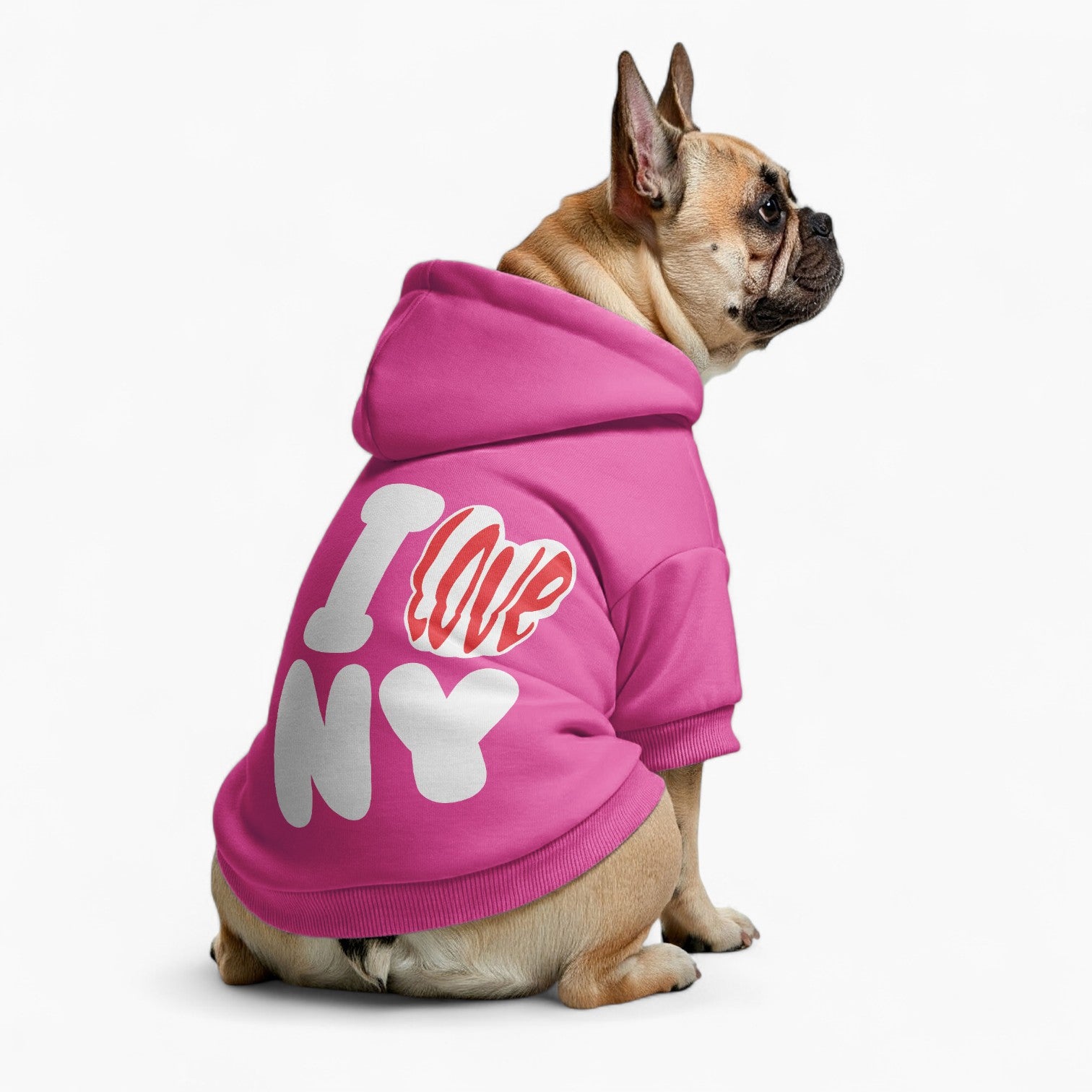 Nova - French Bulldog Dog Hoodie