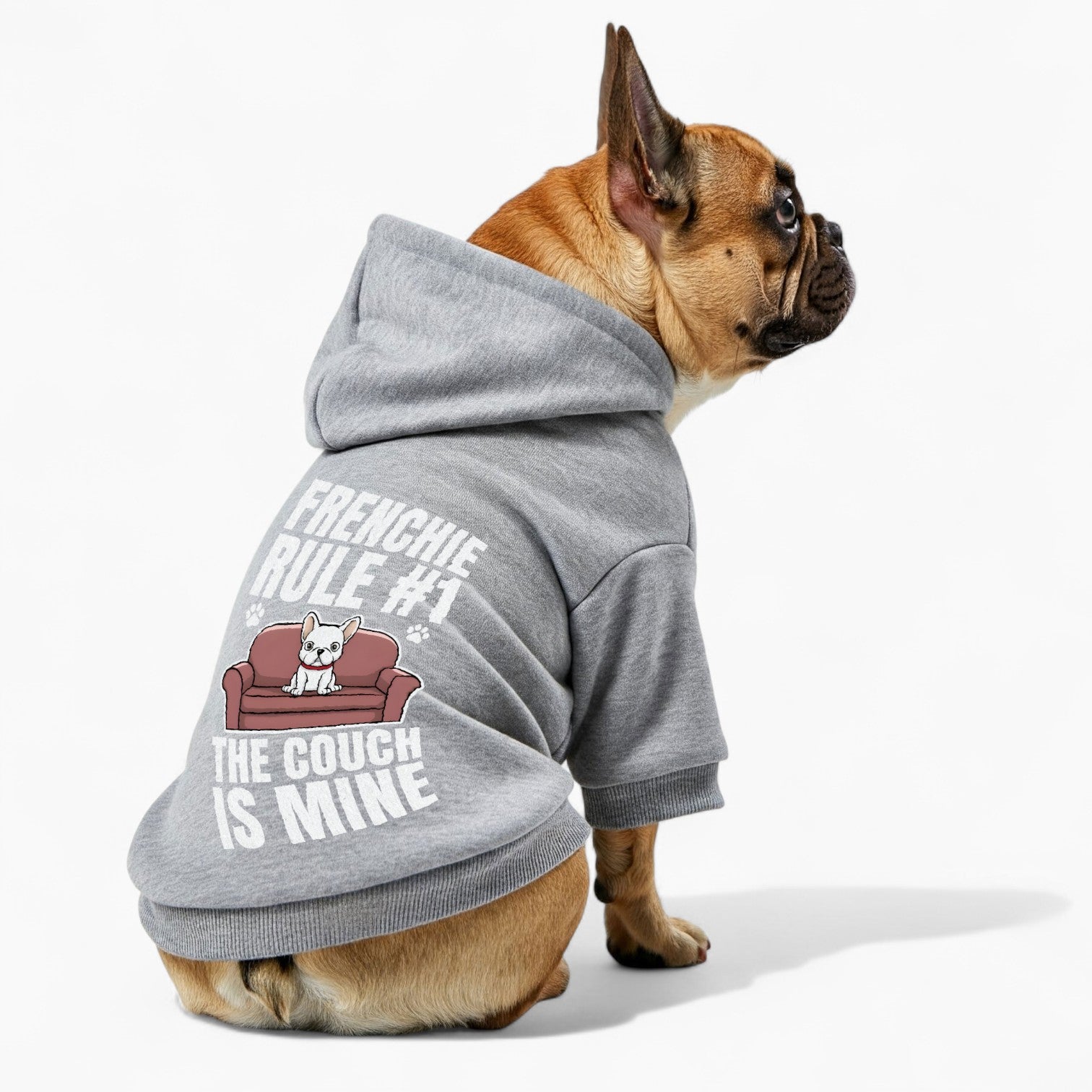 Theo - French Bulldog Dog Hoodie