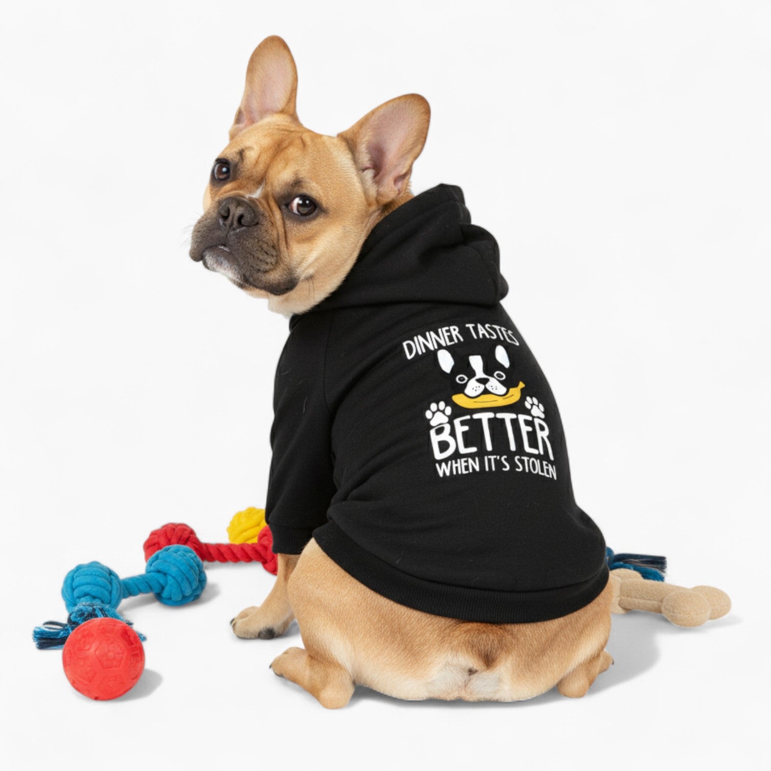 Luna - French Bulldog Dog Hoodie