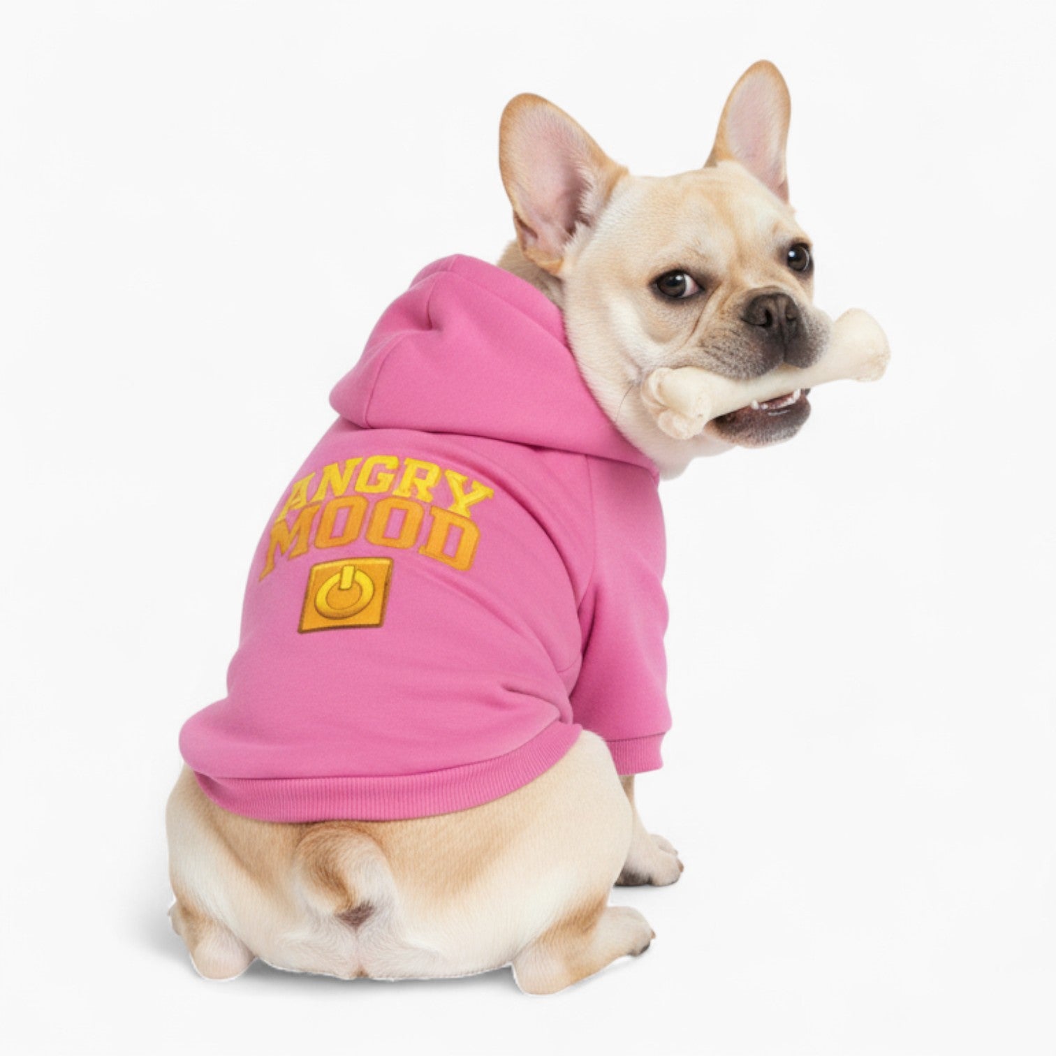 Ginger - French Bulldog Dog Hoodie