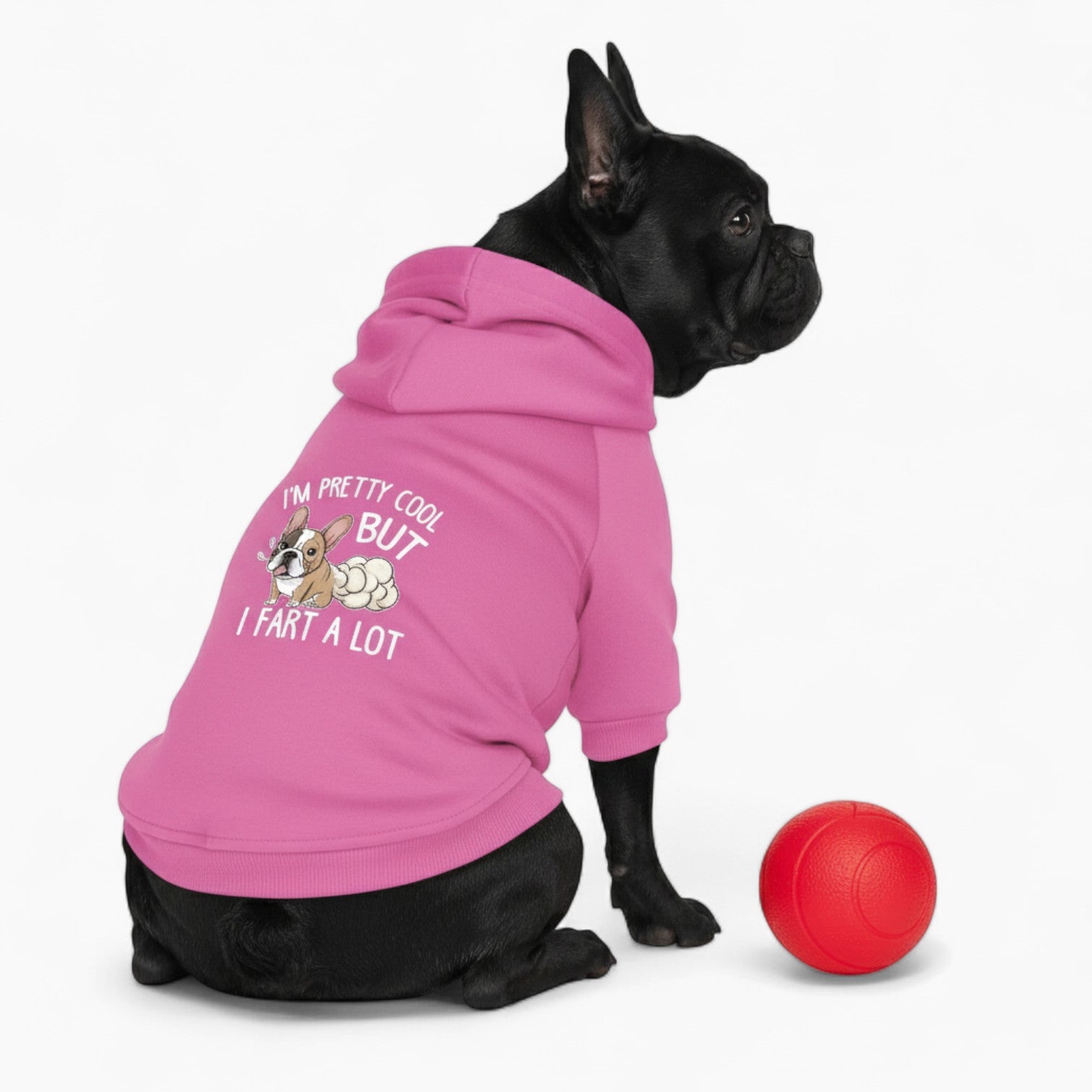 Lucy - French Bulldog Dog Hoodie