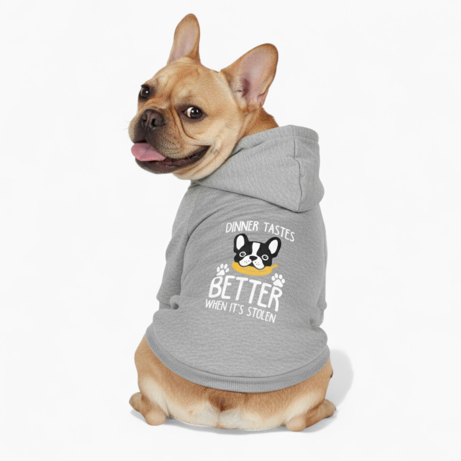 Luna - French Bulldog Dog Hoodie
