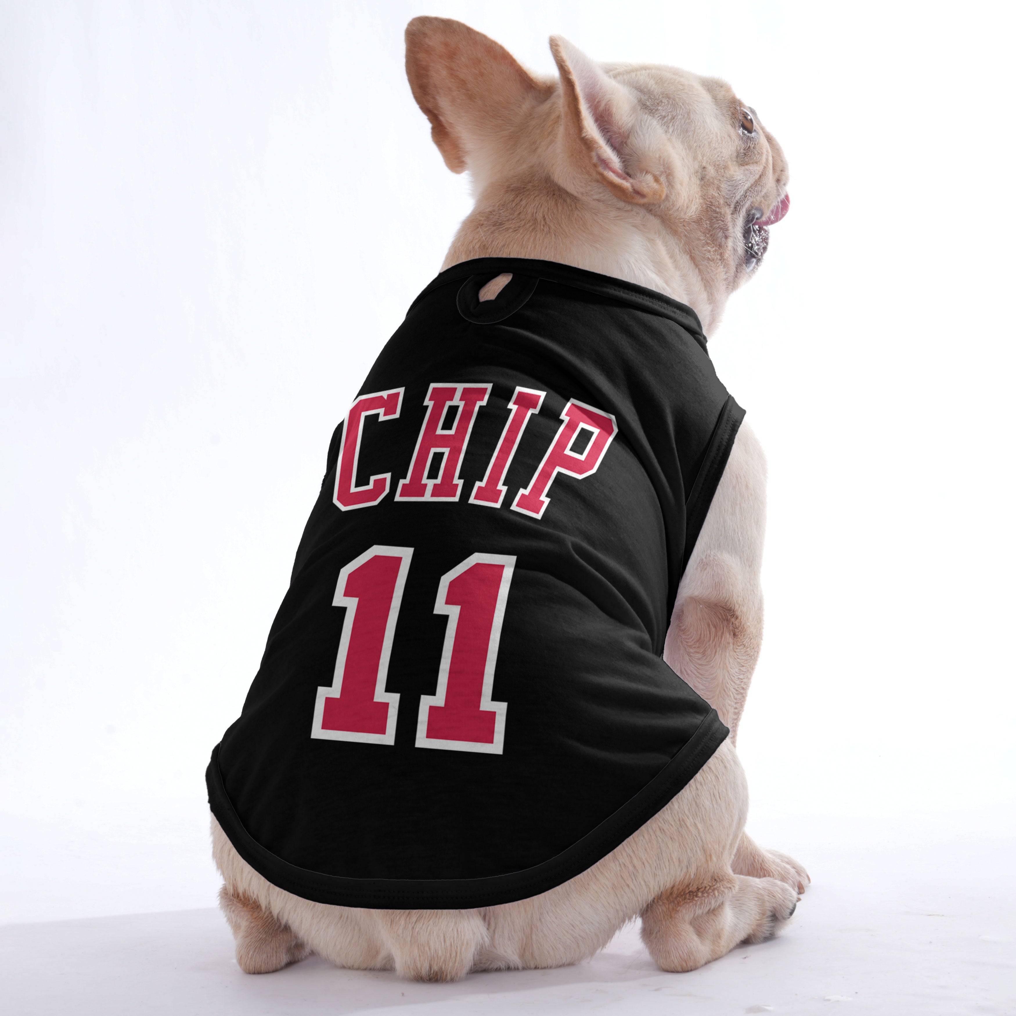 Basketball player – Personalized Shirt with Your Dog’s Name and Number – Dog Shirt