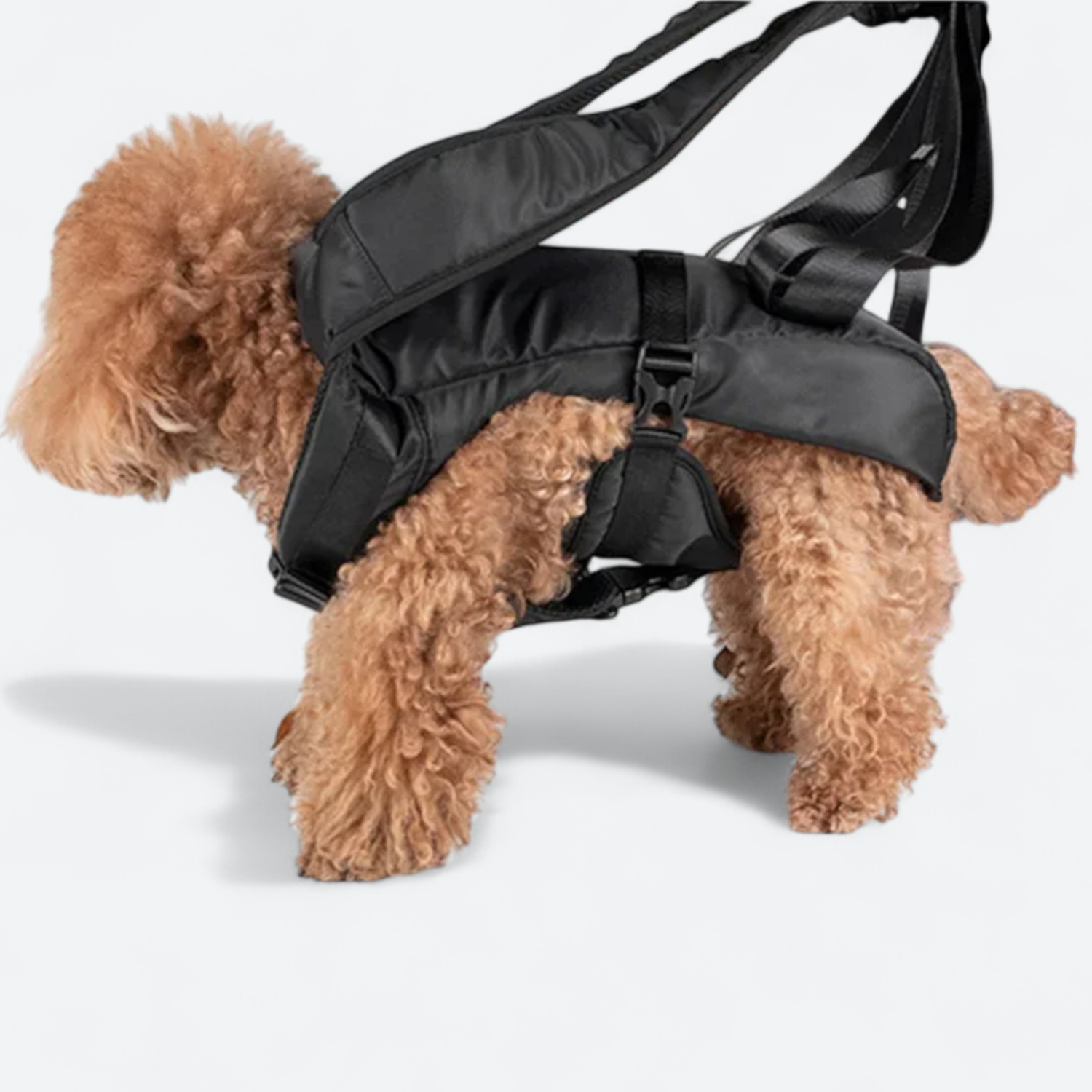 Front-Facing-Dog-Carrier-Backpack.jpg