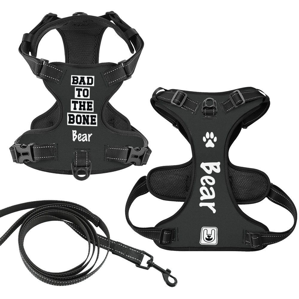 Prada - Custom Dog harness
