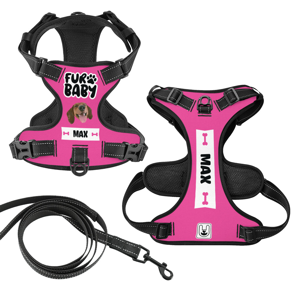 Ajax - Custom Dog harness