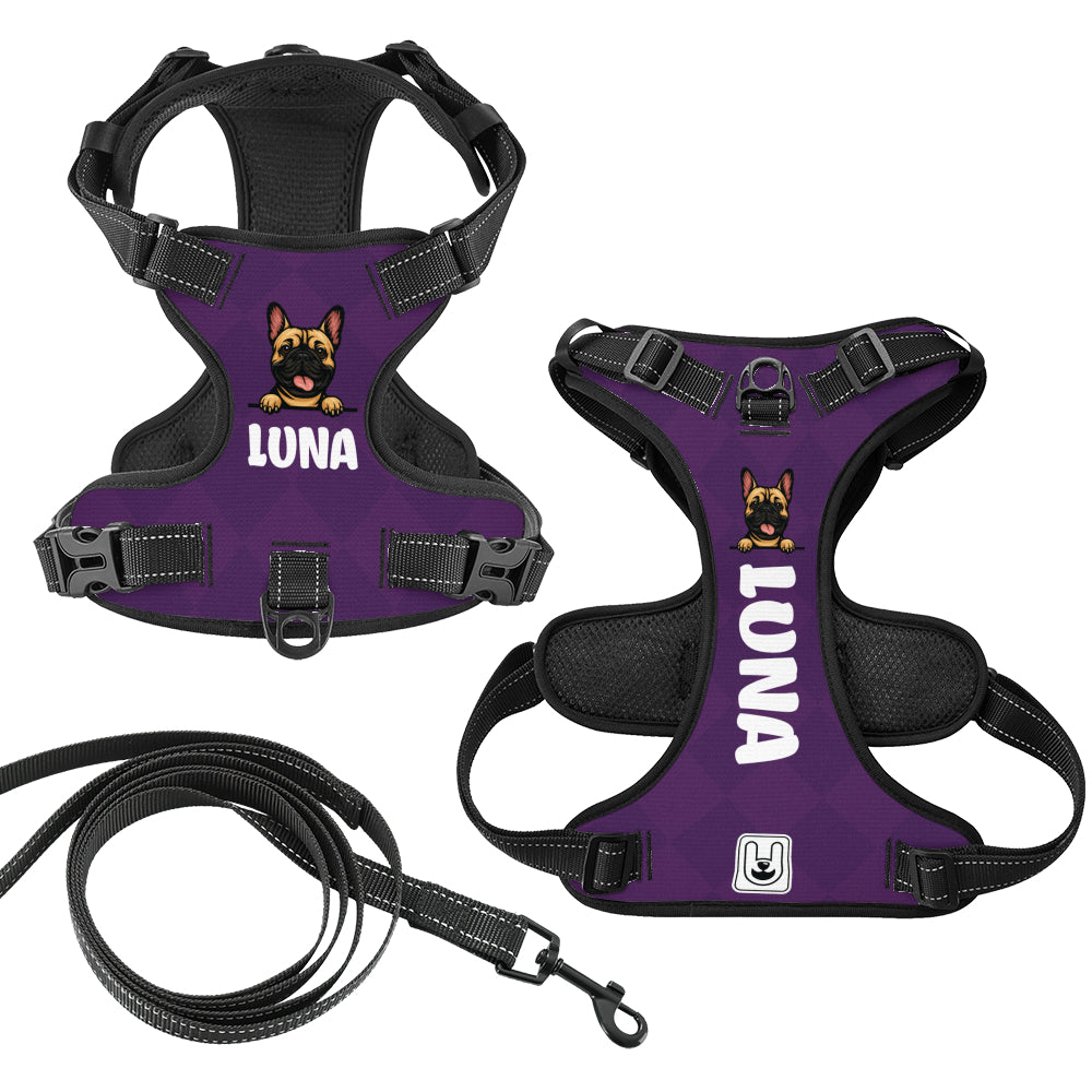 Xander - Custom Dog harness