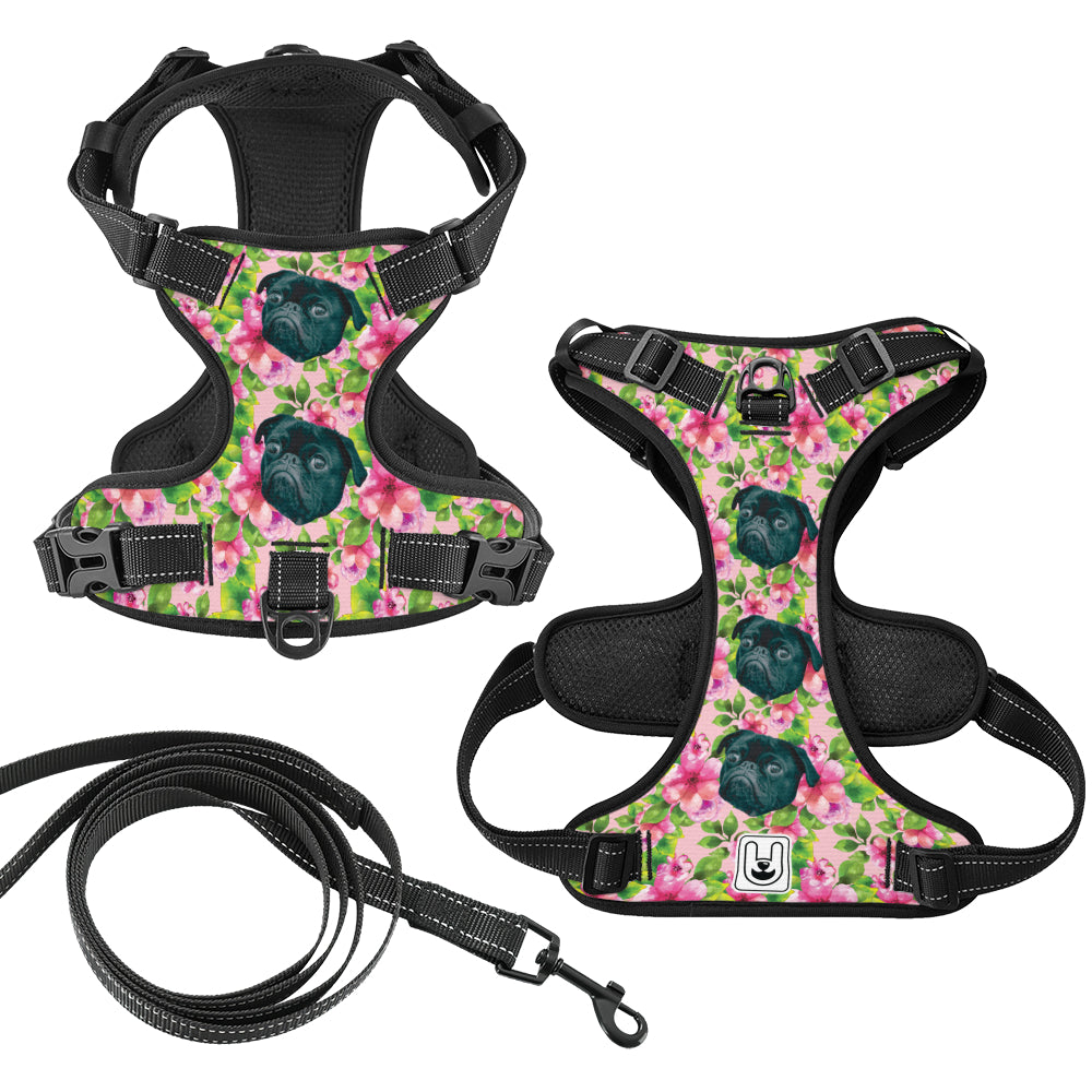 Haley - Custom Dog harness