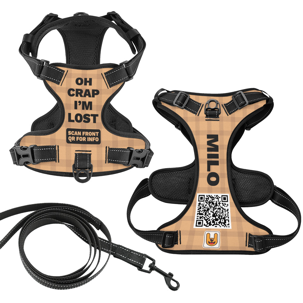 Apollo - Custom Dog harness