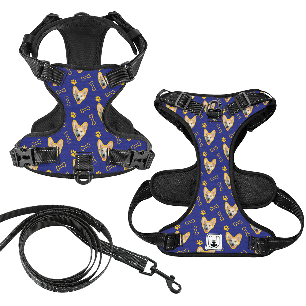 Comet - Custom Dog harness