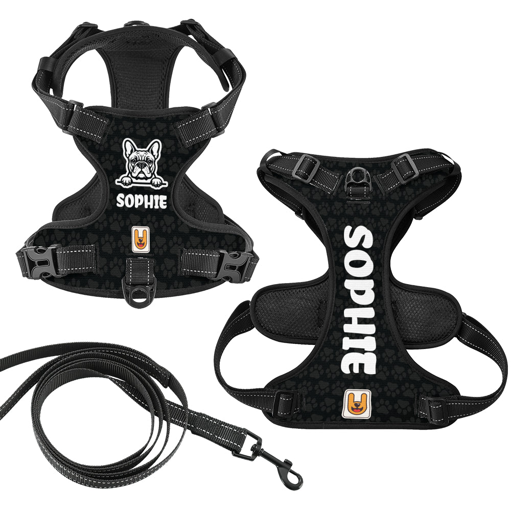 Prada - Custom Dog harness
