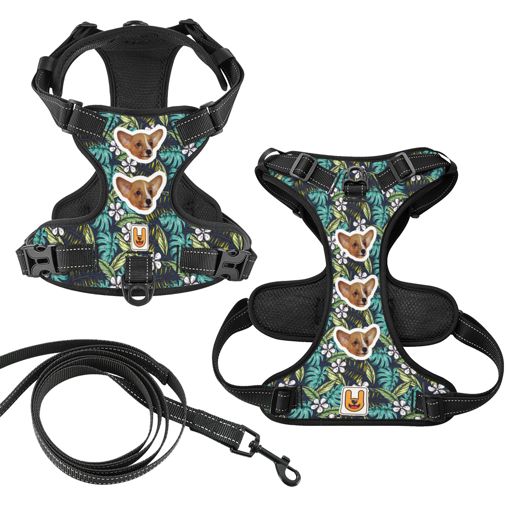 Kona - Custom Dog harness