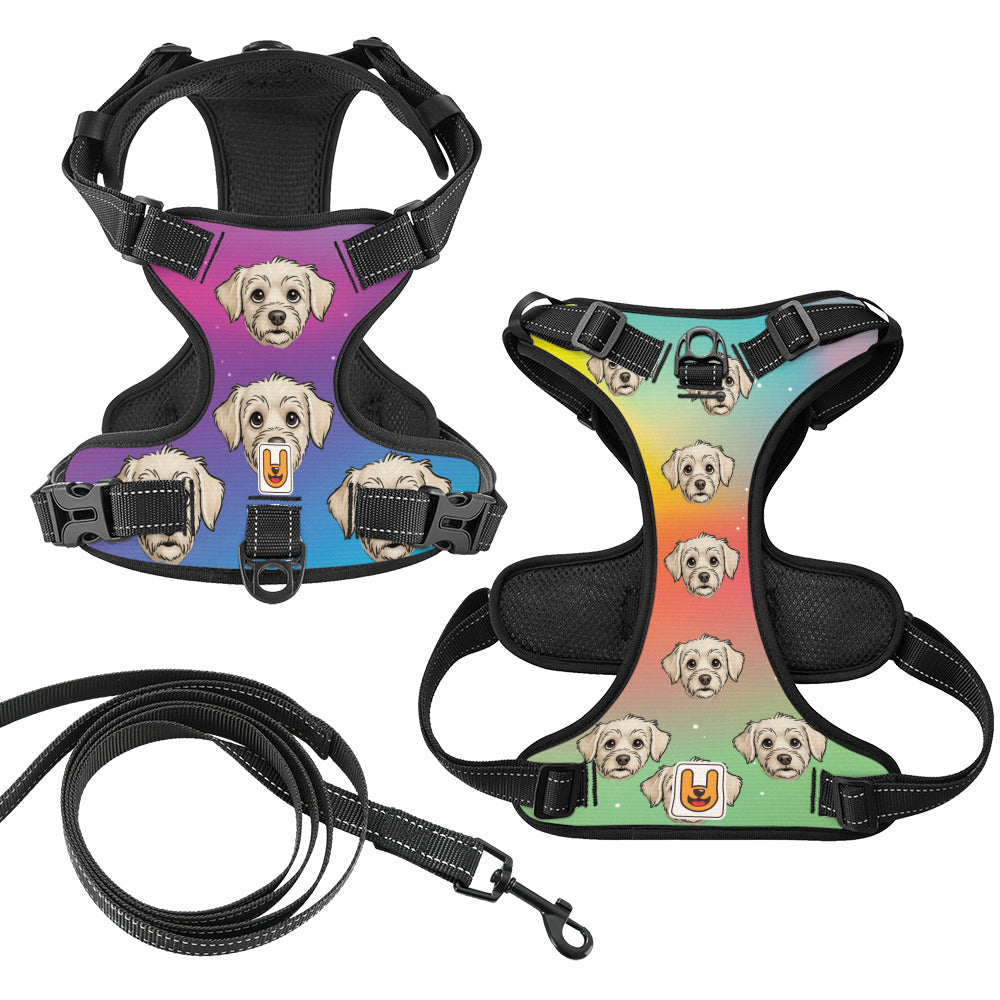 Storm - Custom Dog harness