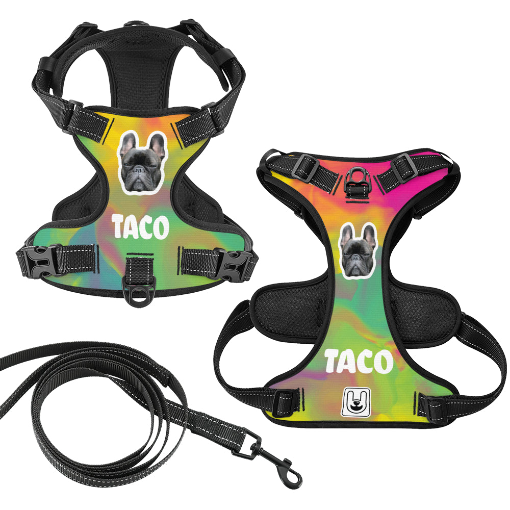 Titania - Custom Dog harness