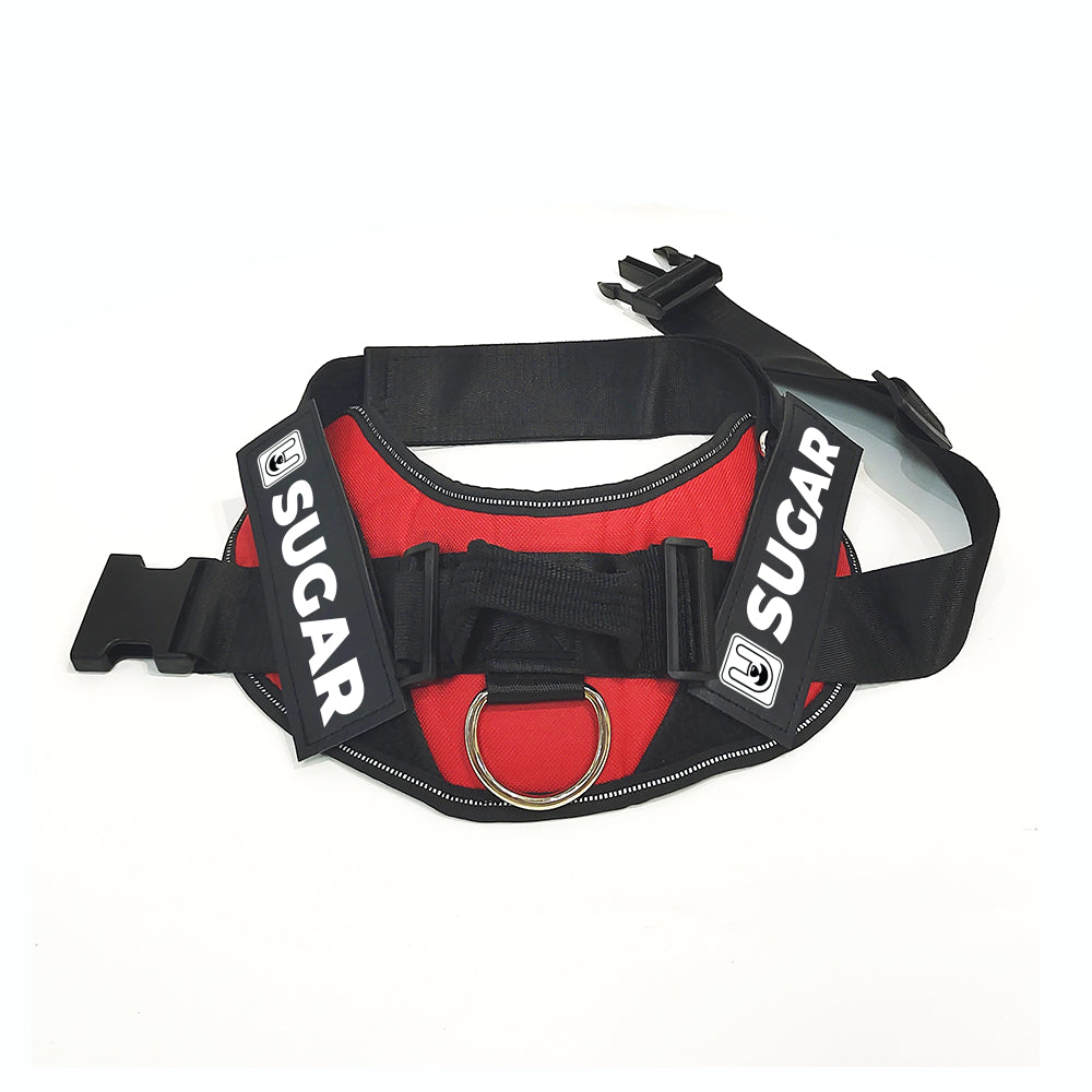 Bella - Personalized Dog Harness