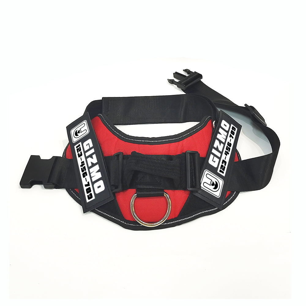Apollo - Personalized Dog Harness