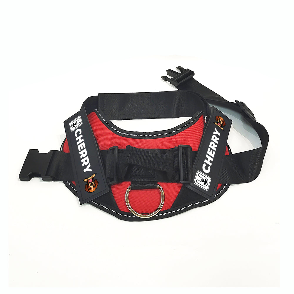 Thad - Personalized Dog Harness