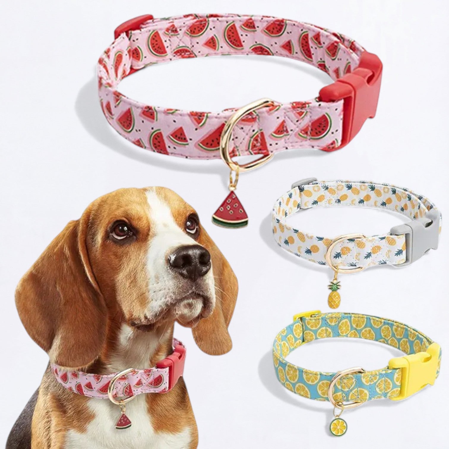 Fruit-Themed-Dog-Collar.jpg