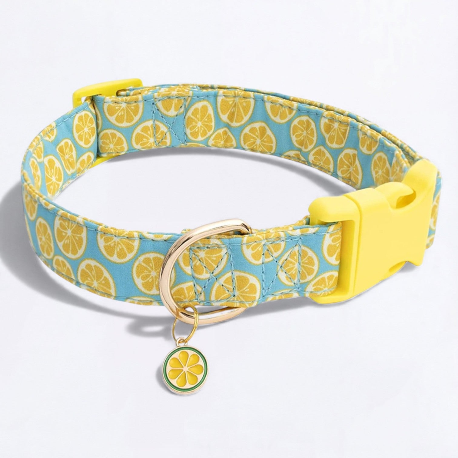 Fruit-Themed-Dog-Collar.jpg
