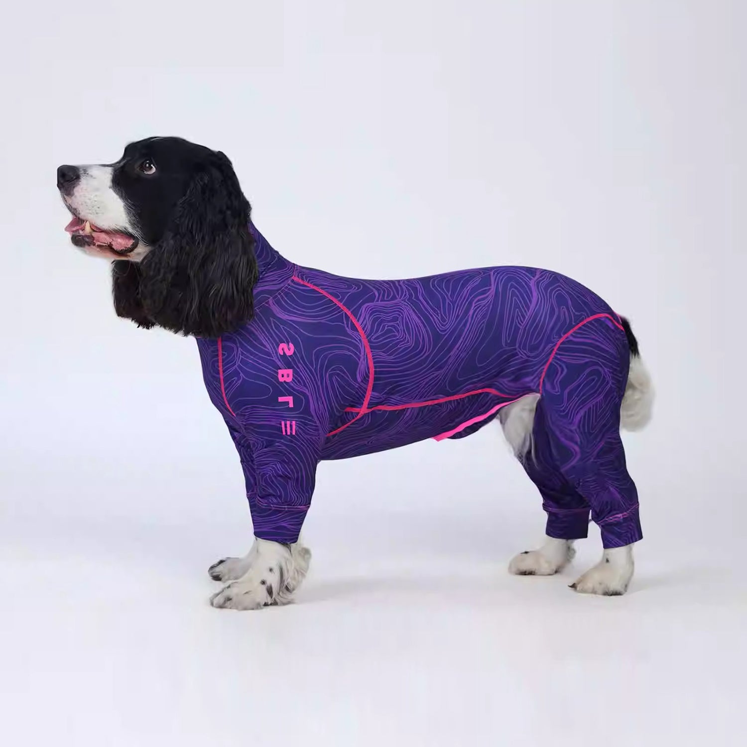 Full-Body-Dog-Pajamas.jpg