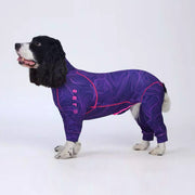 Full-Body-Dog-Pajamas.jpg