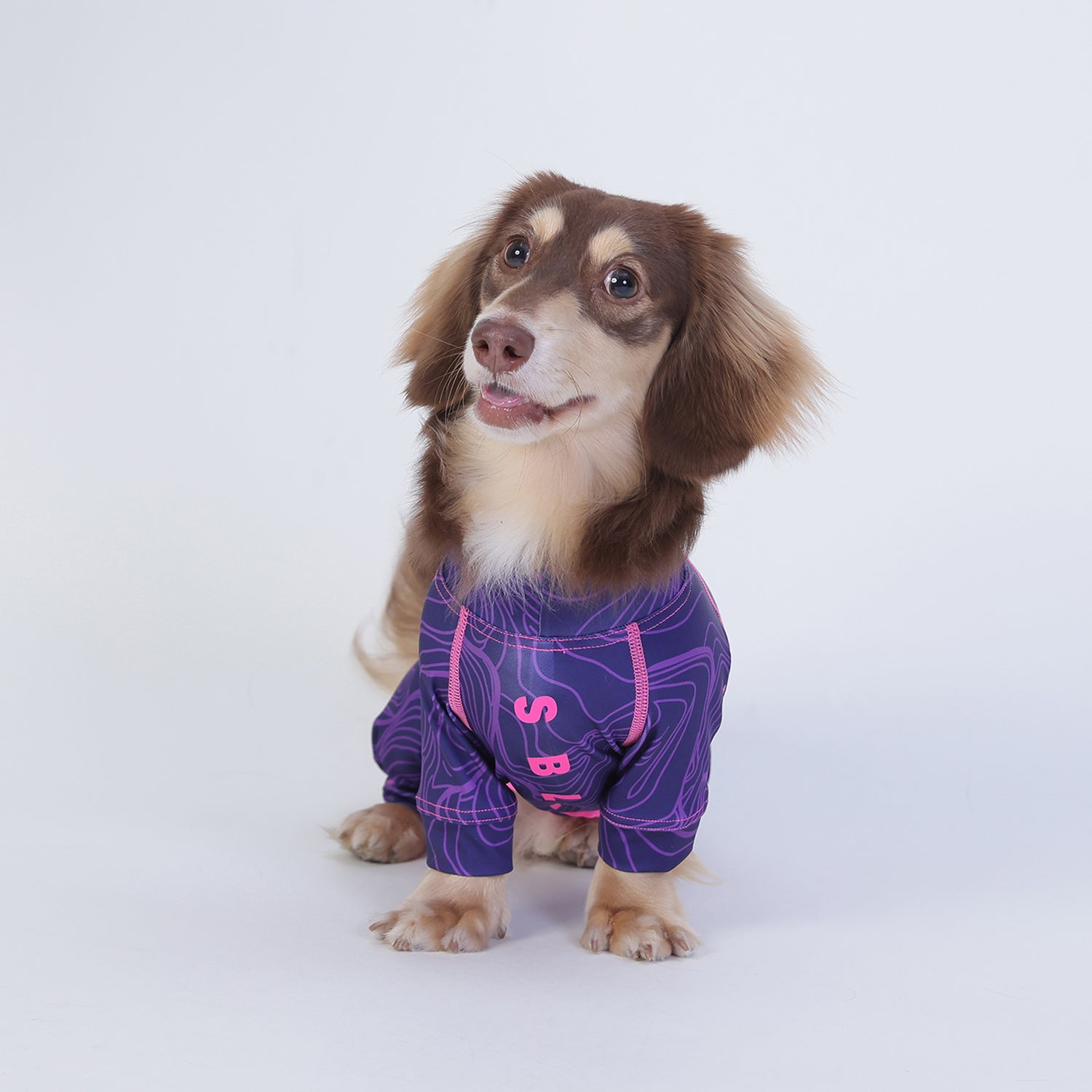 Full-Body-Dog-Pajamas.jpg