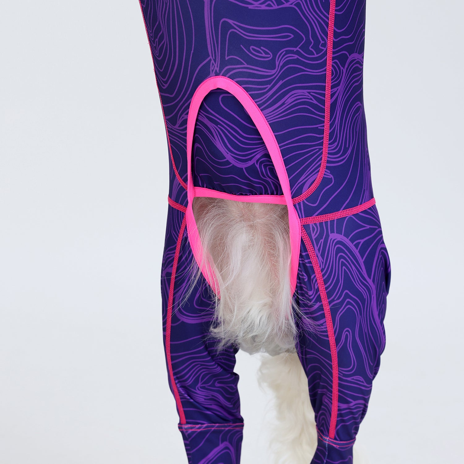 Full-Body-Dog-Pajamas.jpg