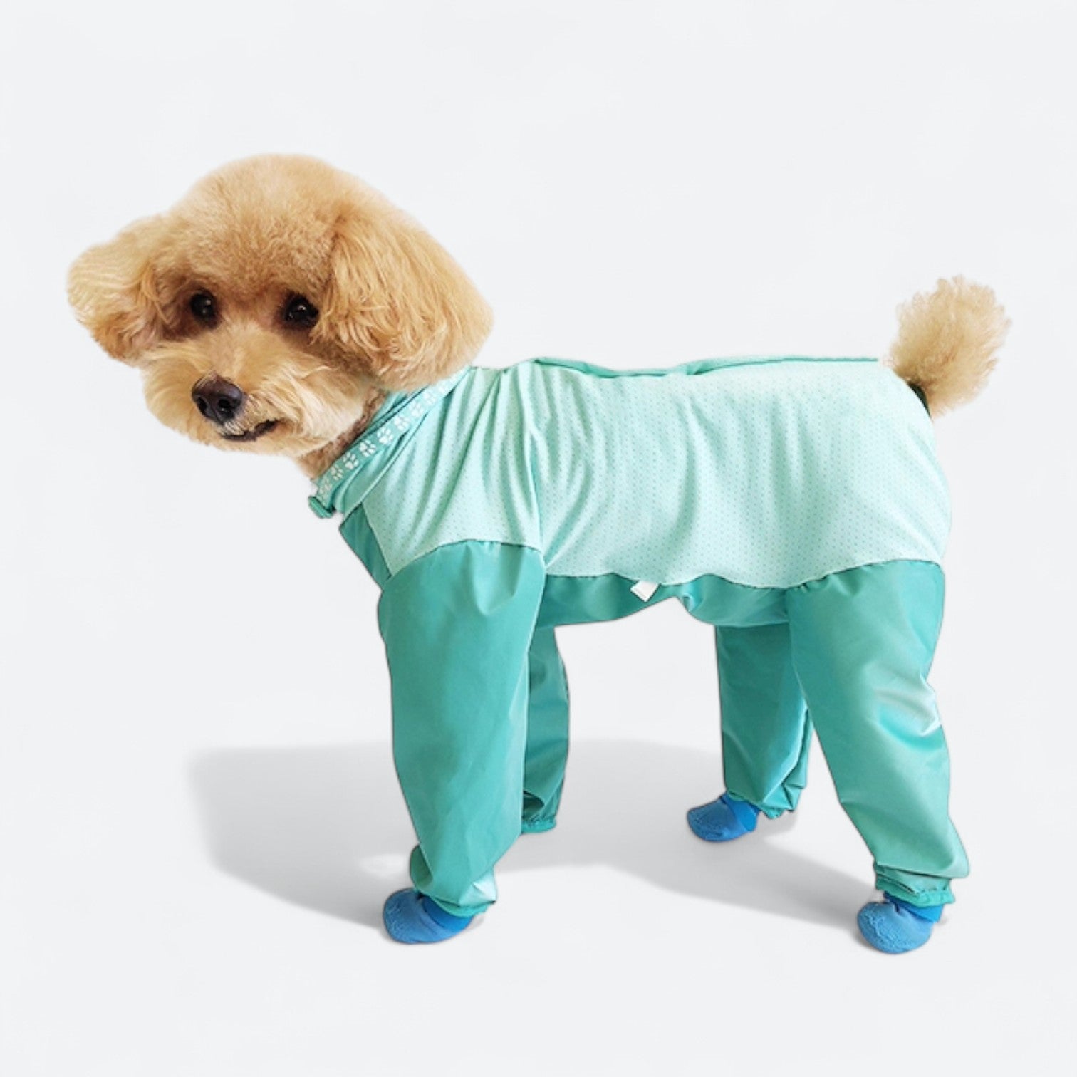 Full-Body-Dog-Rain-Jumpsuit-with-Shoes.jpg