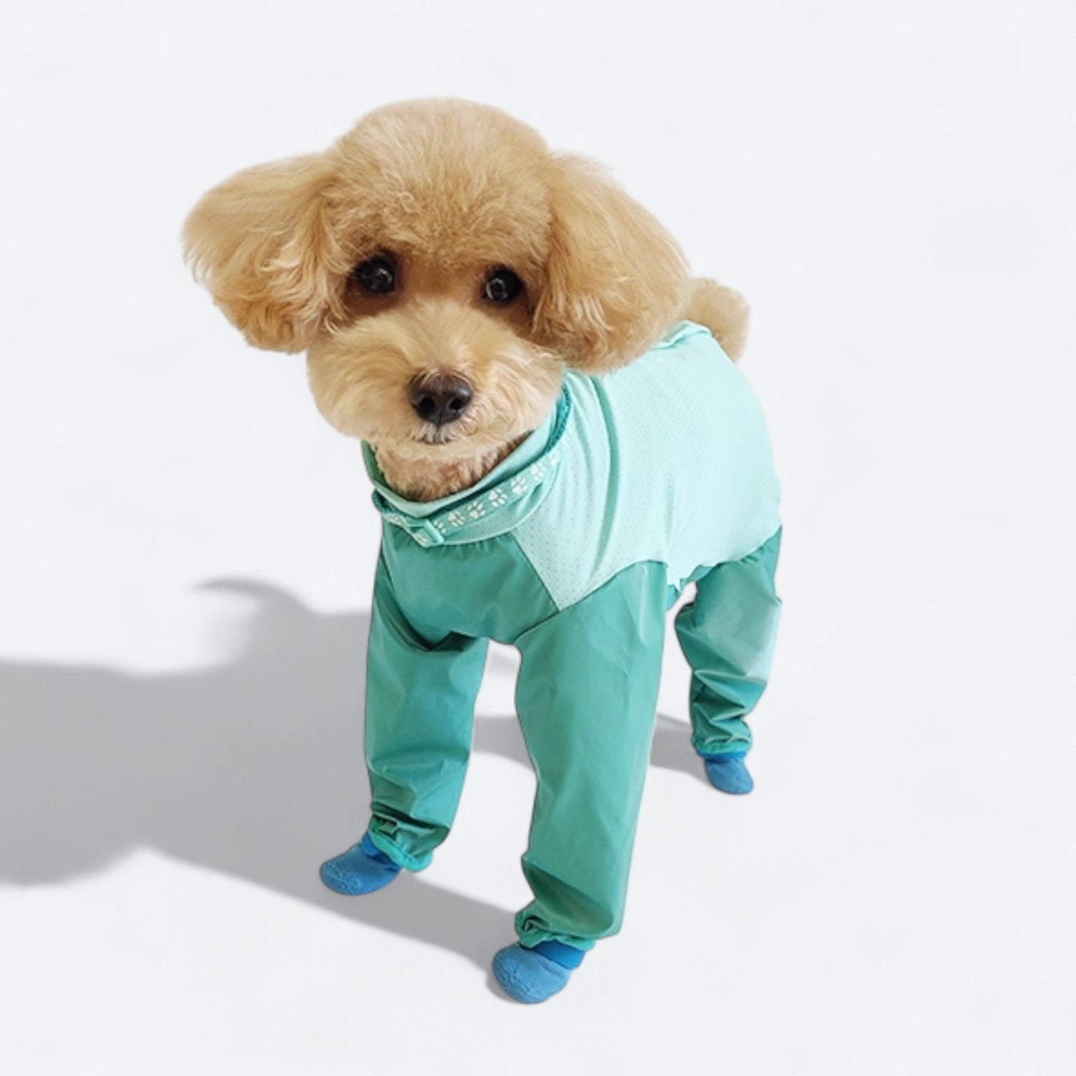 Full-Body-Dog-Rain-Jumpsuit-with-Shoes.jpg