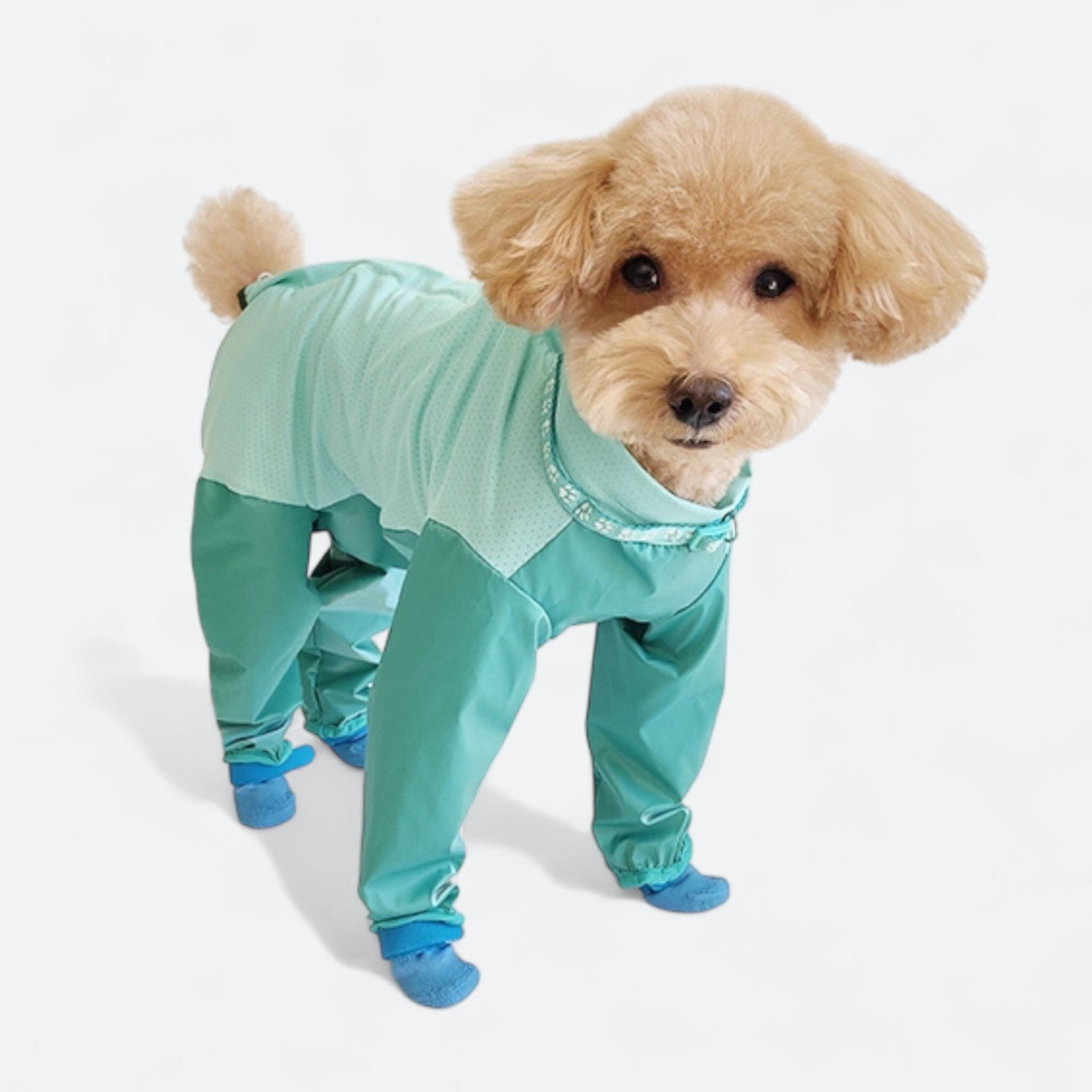 Full-Body-Dog-Rain-Jumpsuit-with-Shoes.jpg