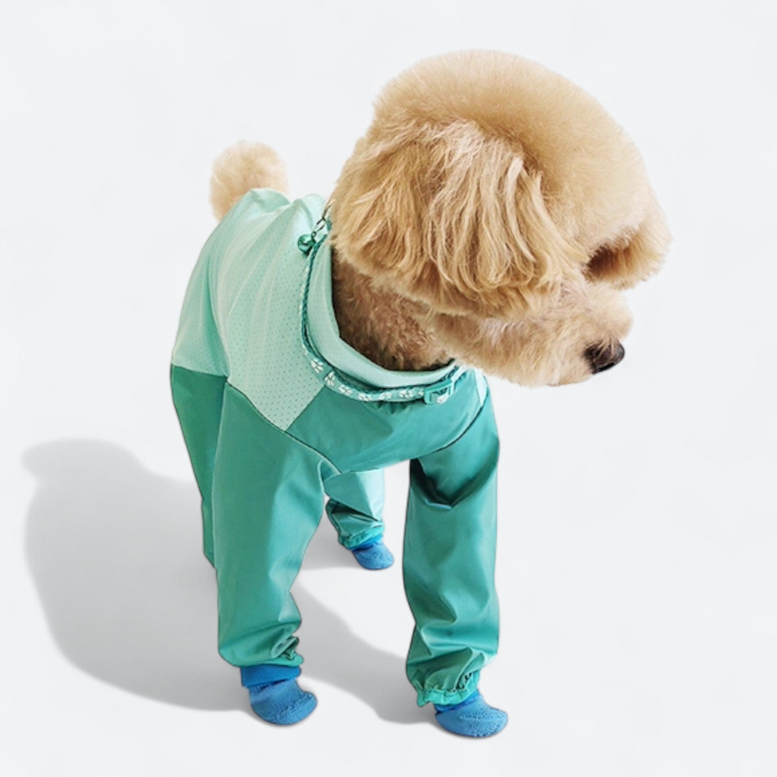 Full-Body-Dog-Rain-Jumpsuit-with-Shoes.jpg