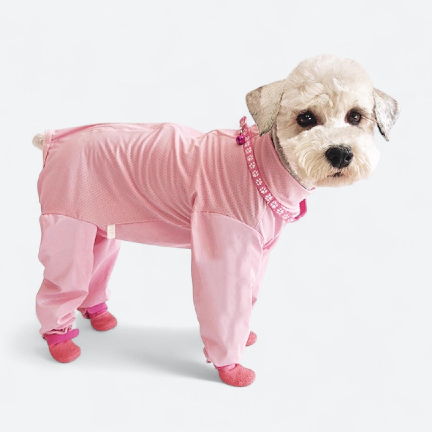 Full-Body-Dog-Rain-Jumpsuit-with-Shoes.jpg