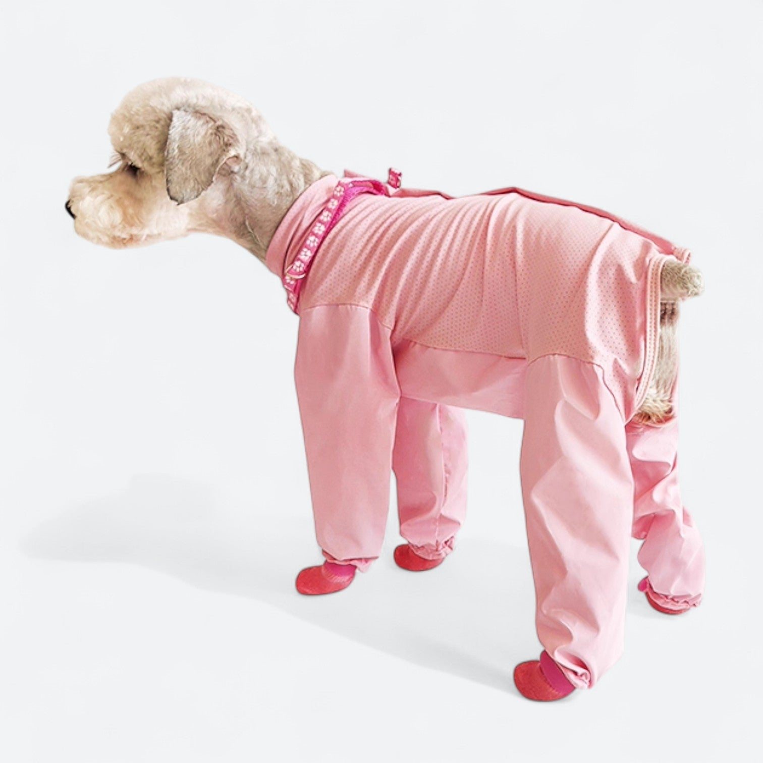 Full-Body-Dog-Rain-Jumpsuit-with-Shoes.jpg